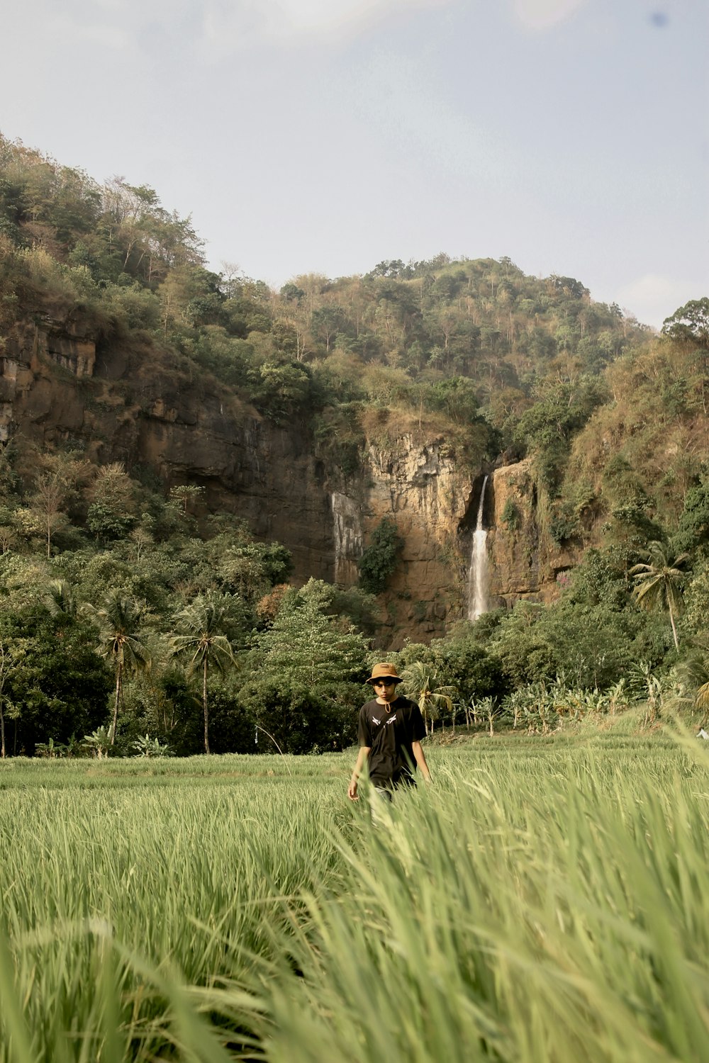 a person walking through a field of grass with a waterfall in the background