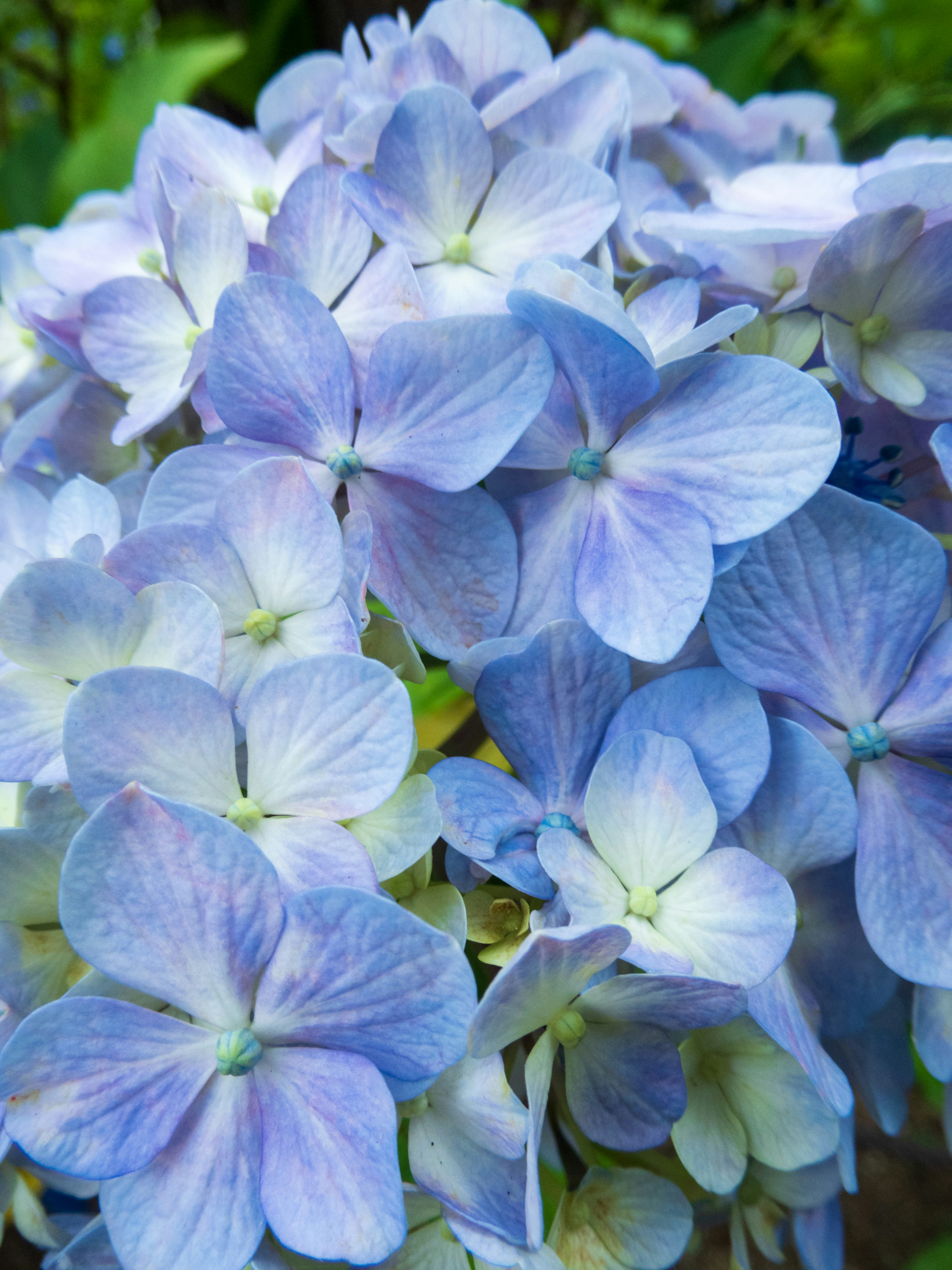 Photo by heppoko_yama