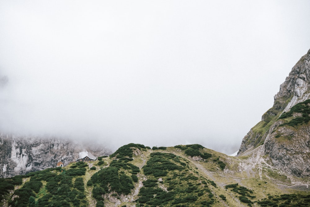 eine Landschaft mit Bäumen und Bergen