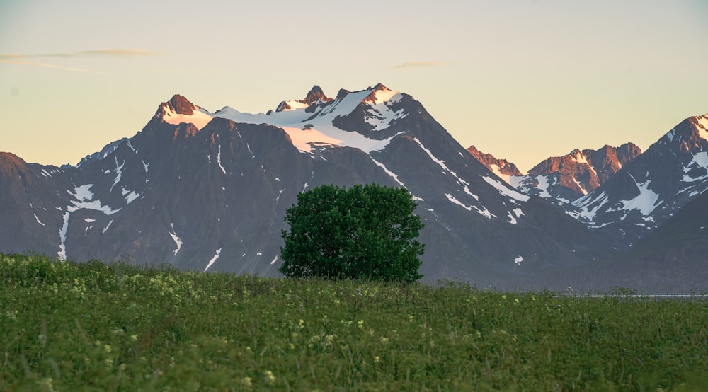 a mountain with snow