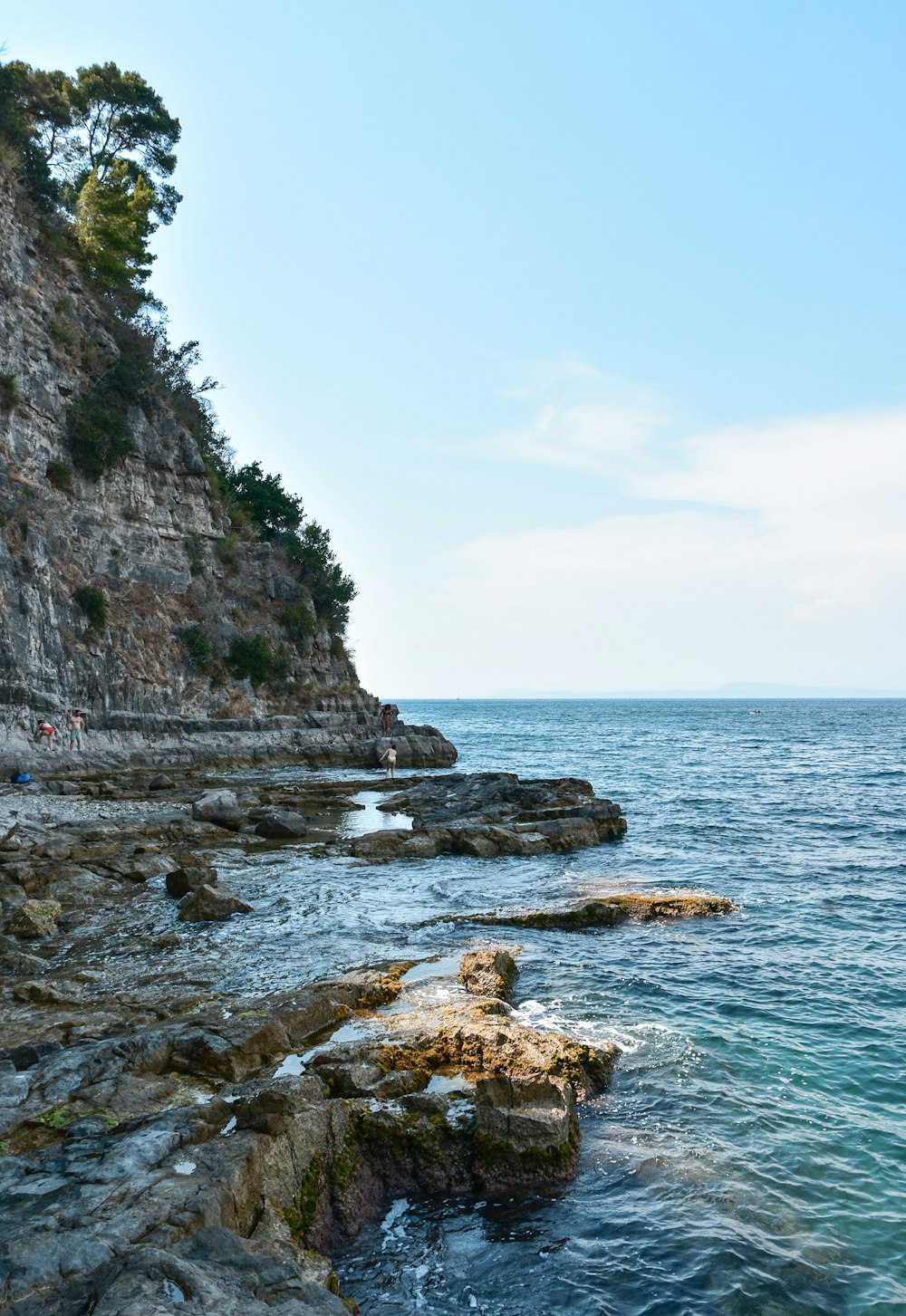 a rocky beach with a cliff and trees on the side