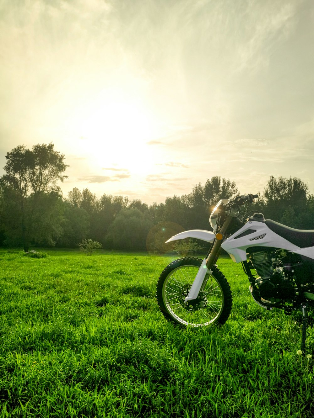 a bicycle parked in a grassy field