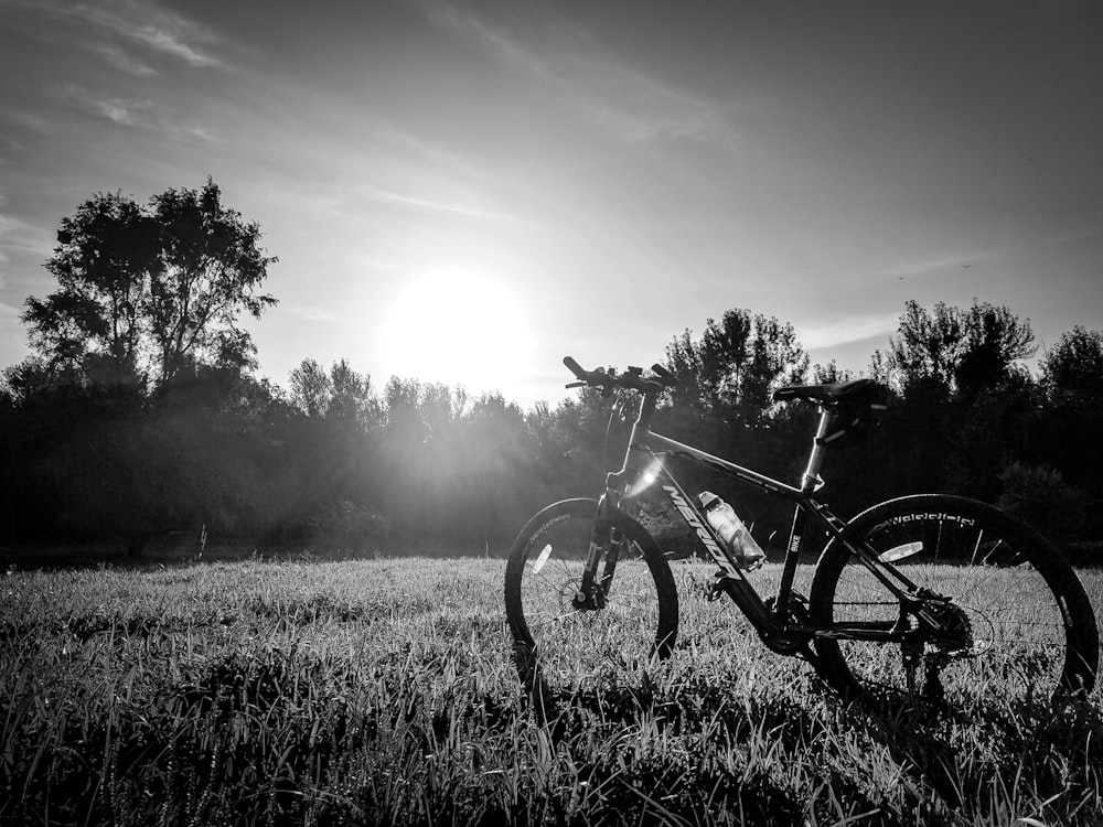 a bicycle in a field