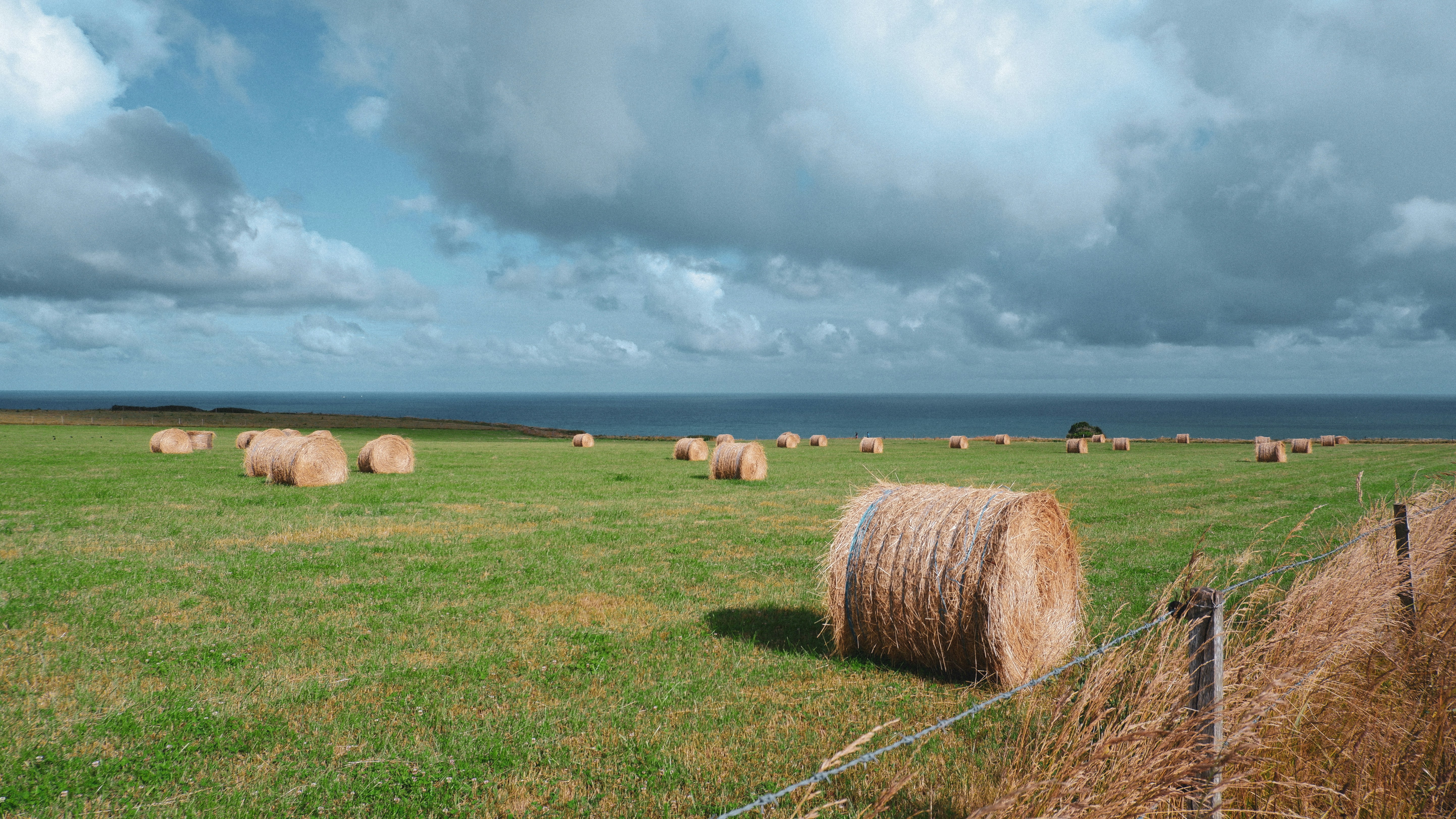 a field of hay bales