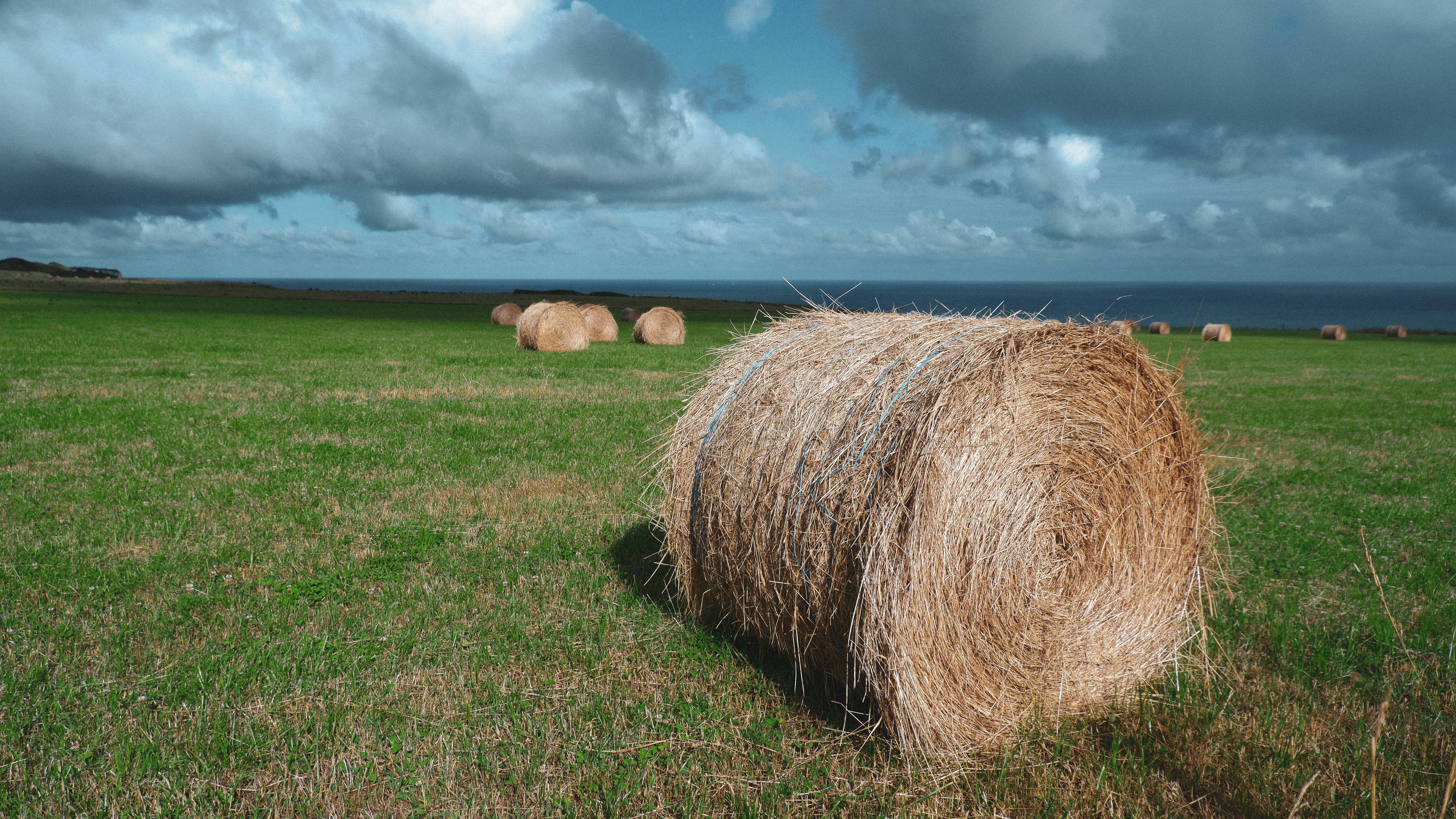 a group of bales of hay in a field