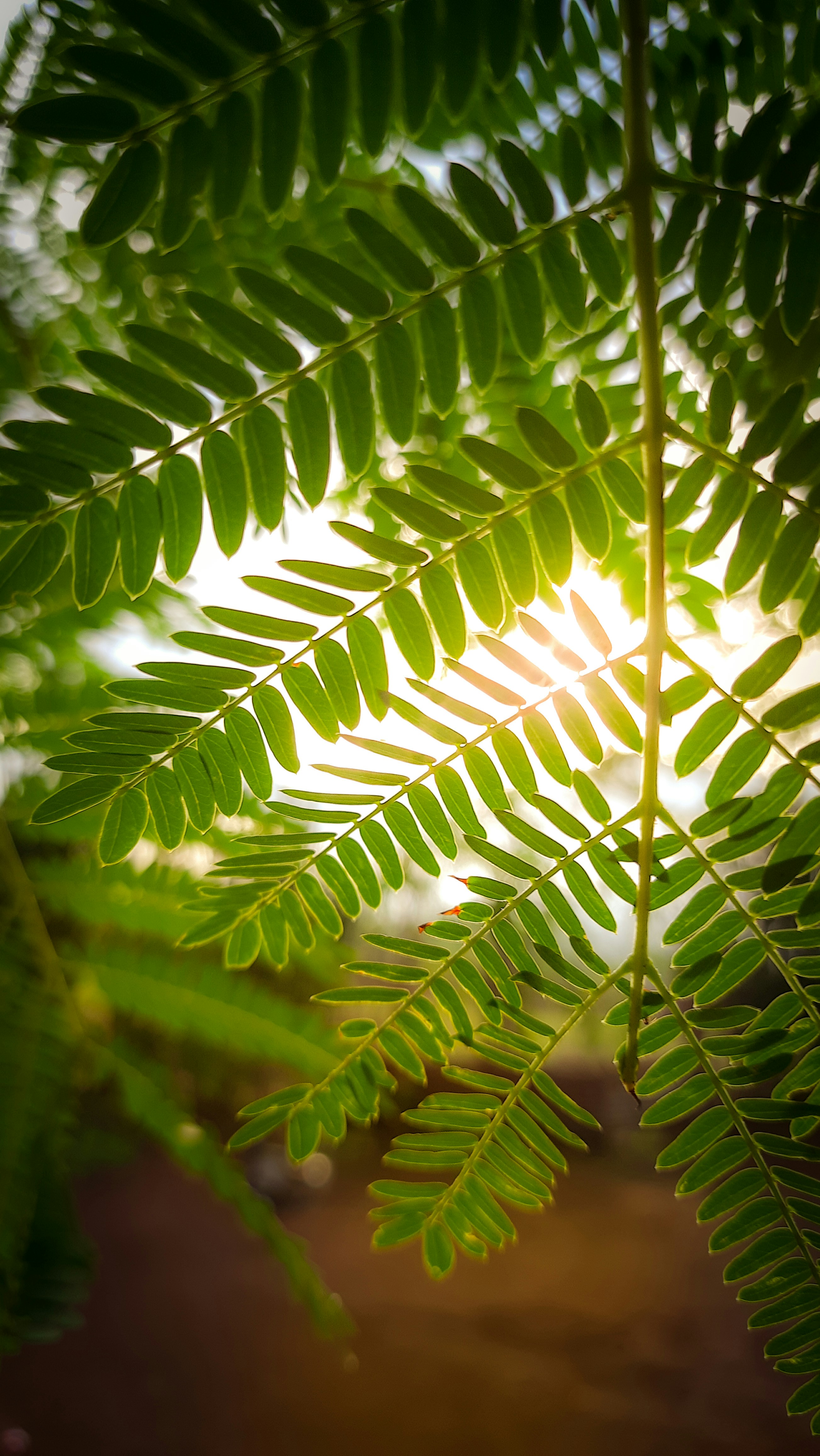 Photo by chaitanyasalunke_123