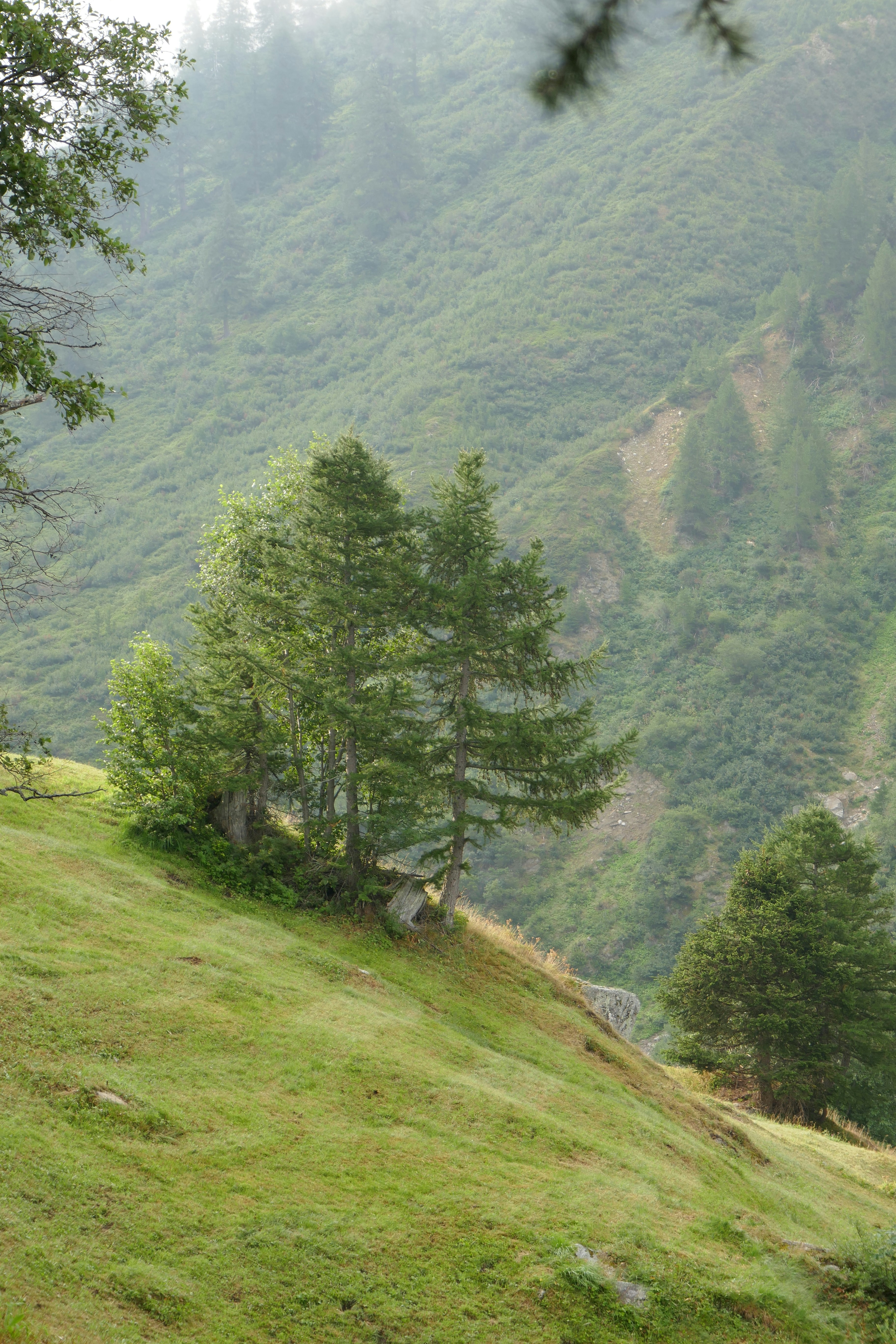 Photo by monikamanenti