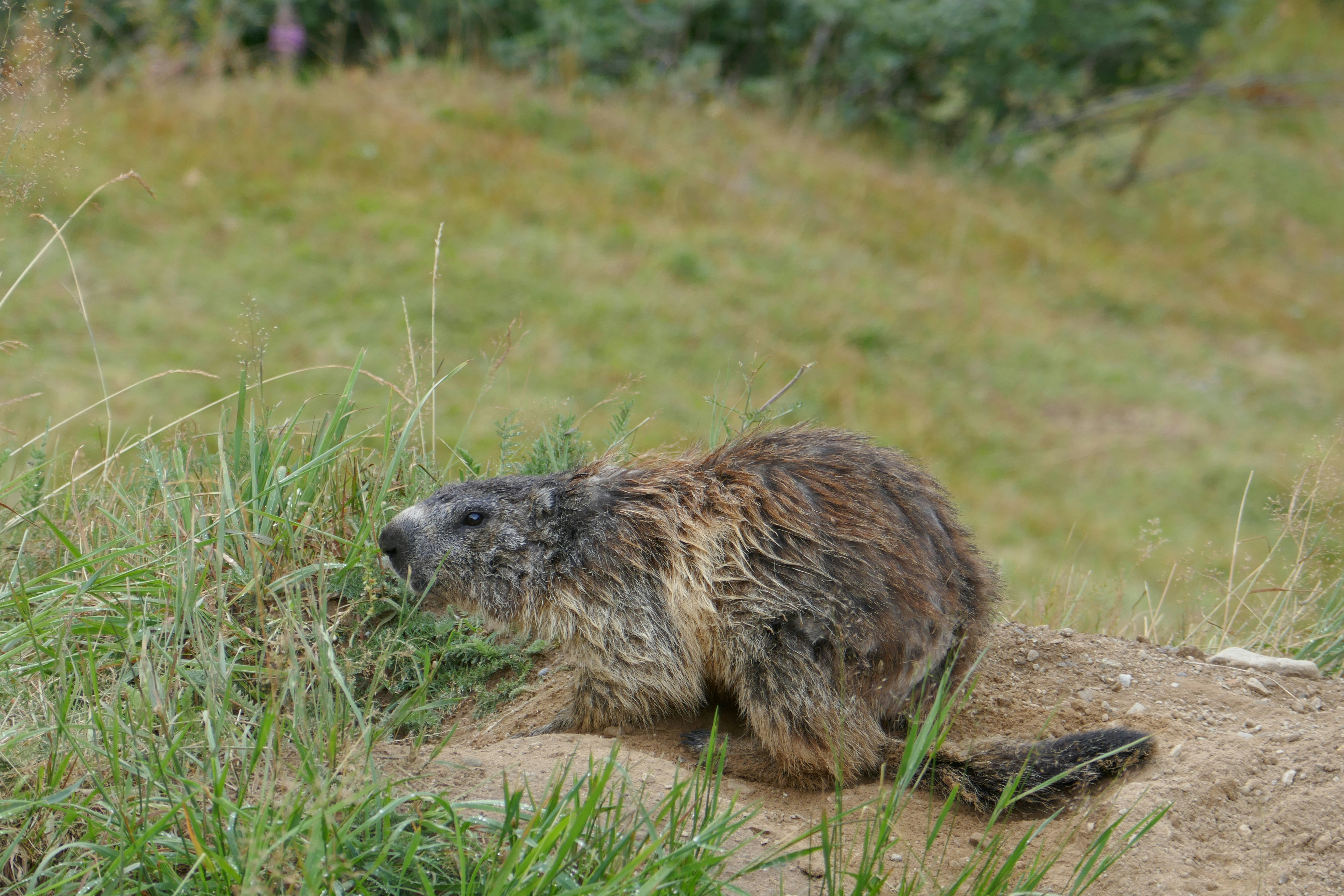 Photo by monikamanenti