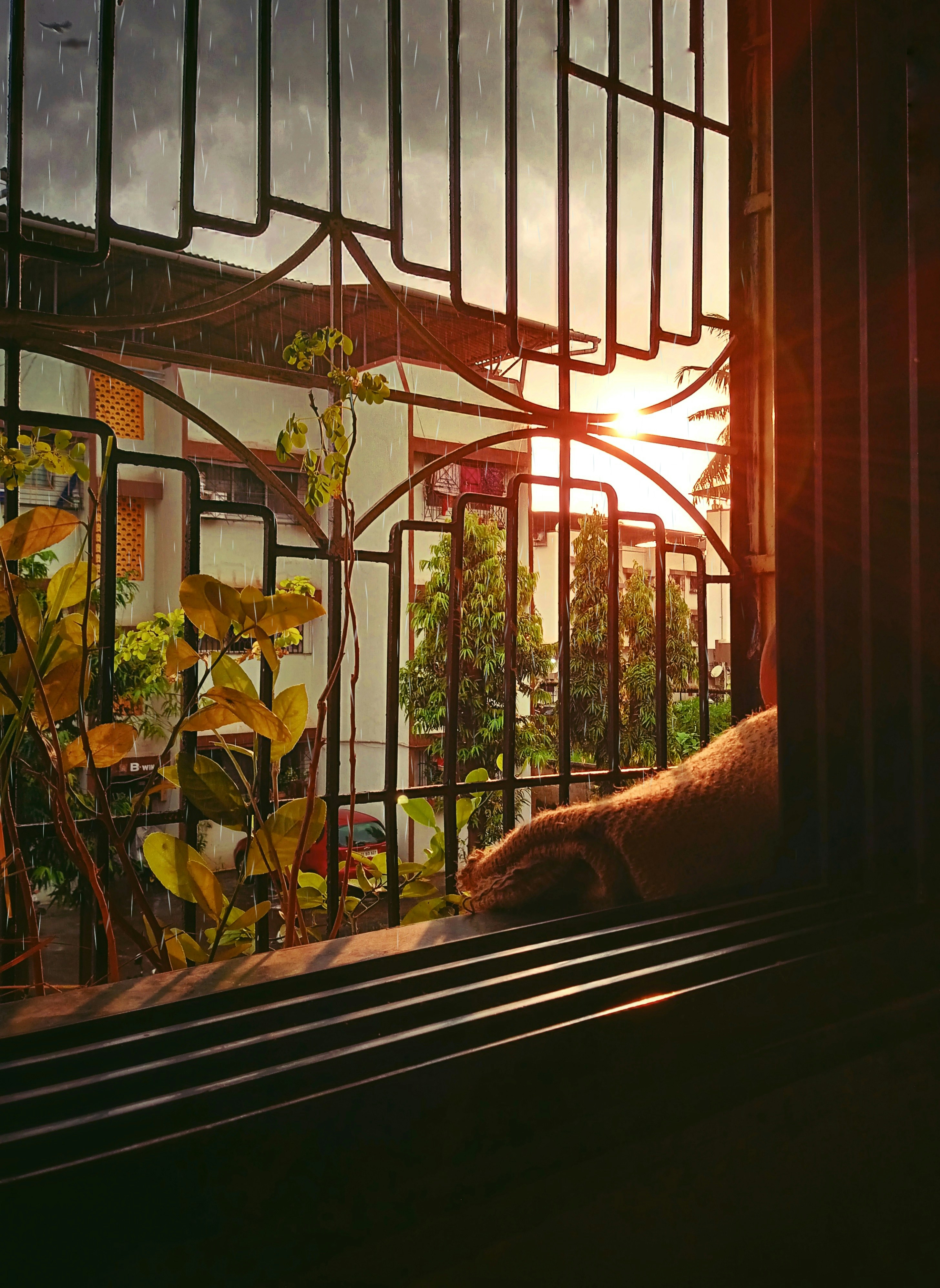 Photo by chaitanyasalunke_123