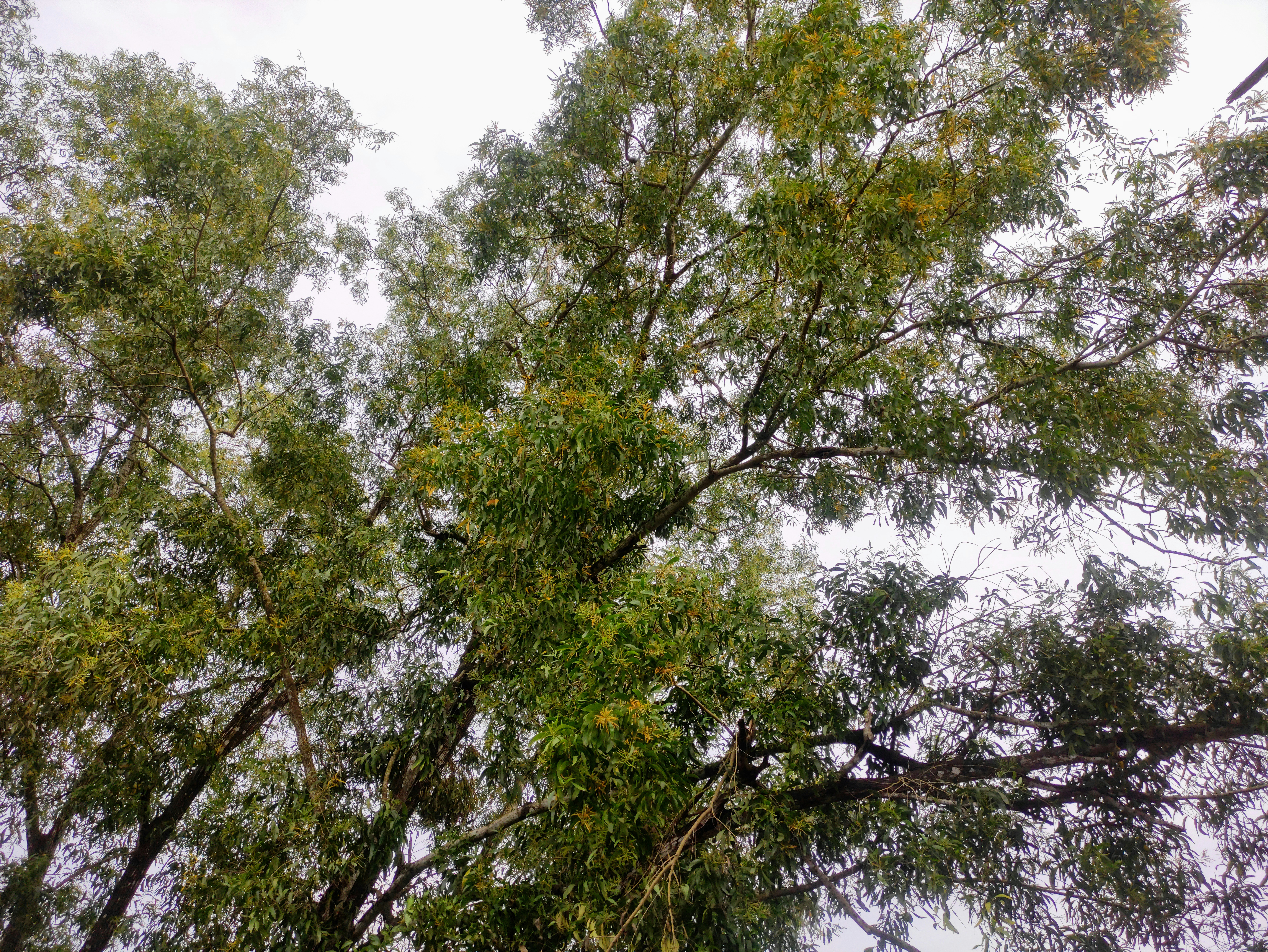 Photo by vathikulam