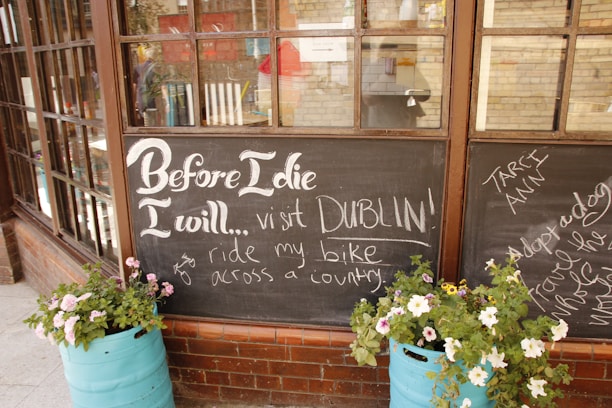 A window display features two blackboards filled with handwritten goals and desires written in chalk. One board prominently says, 'Before I die I will... visit Dublin! and ride my bike across a country.' The boards are bordered by two turquoise planters containing bright pink and white flowers. Brick walls and glass windows are in the background, suggesting an outdoor café or community space.