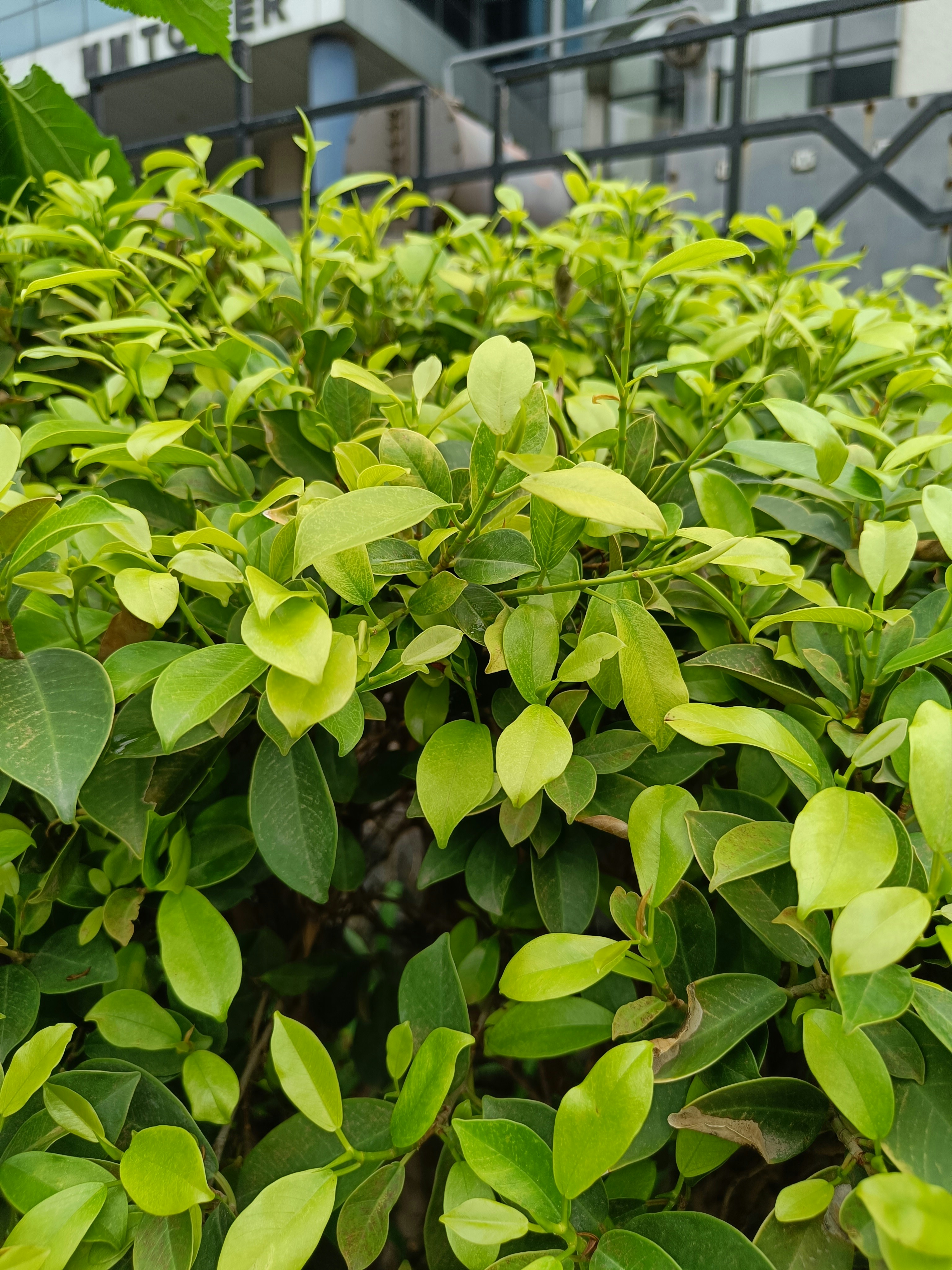 Photo by its_me_navii