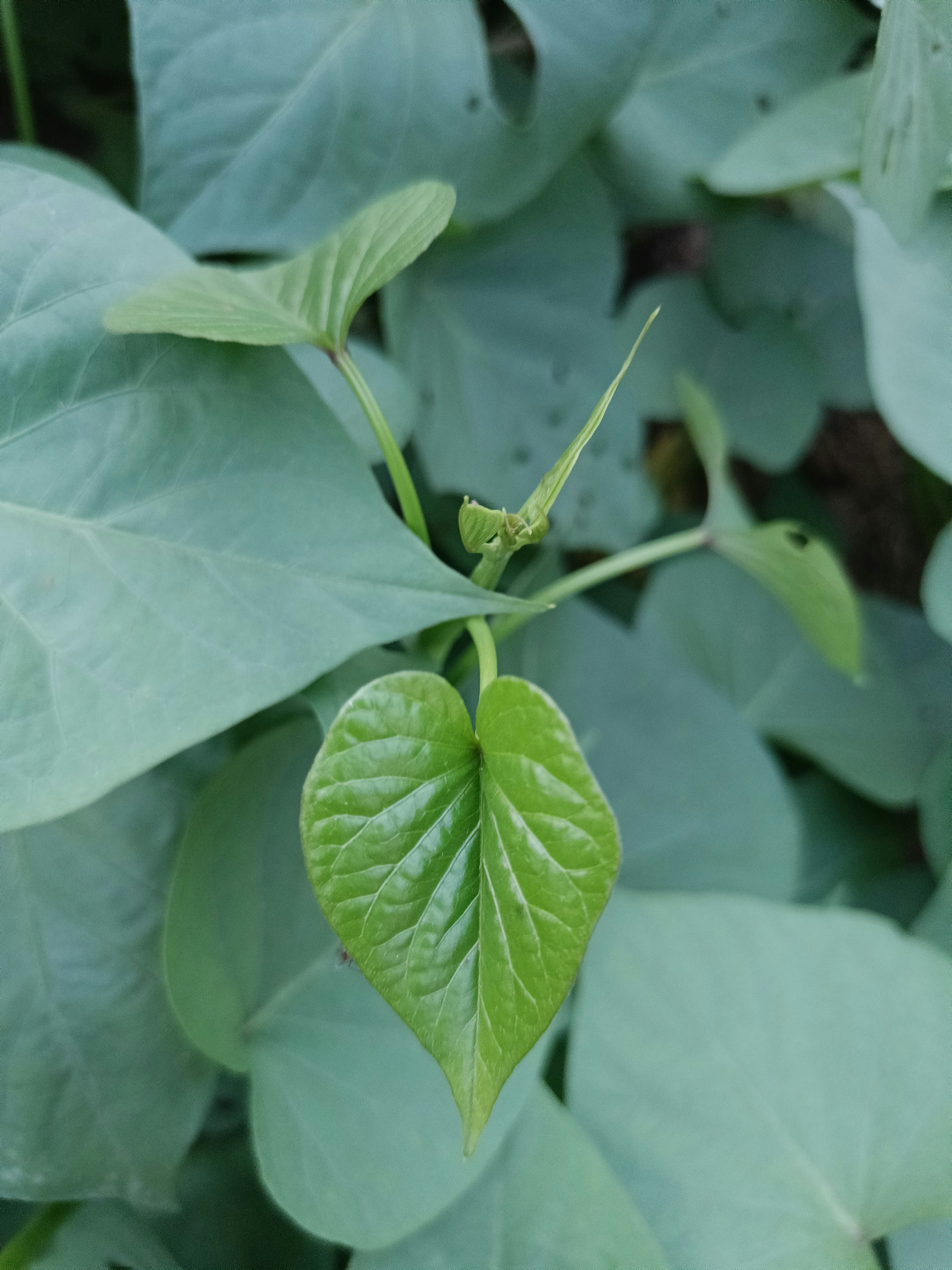 Photo by its_me_navii