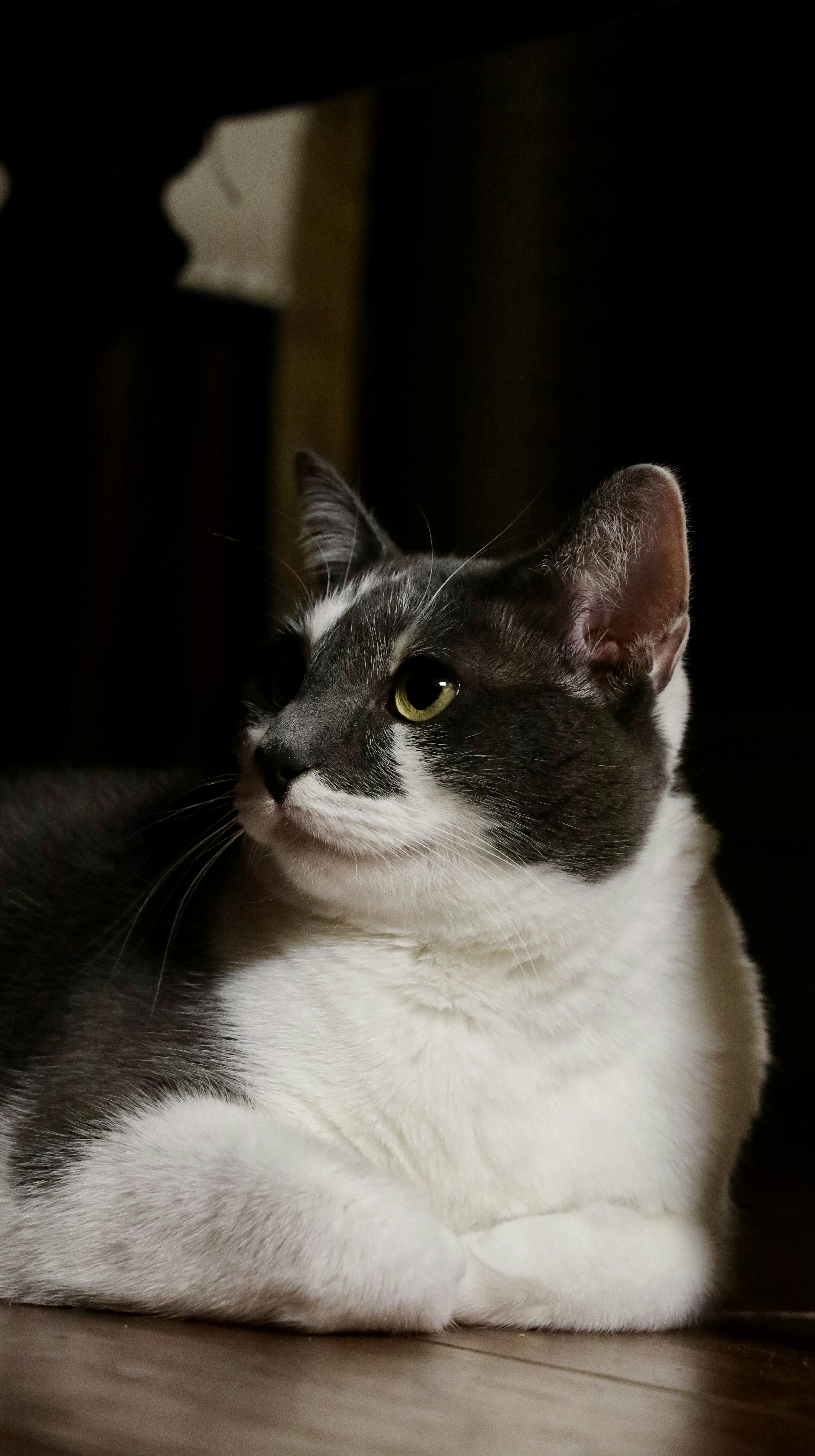 Photo by lilyycamillephoto