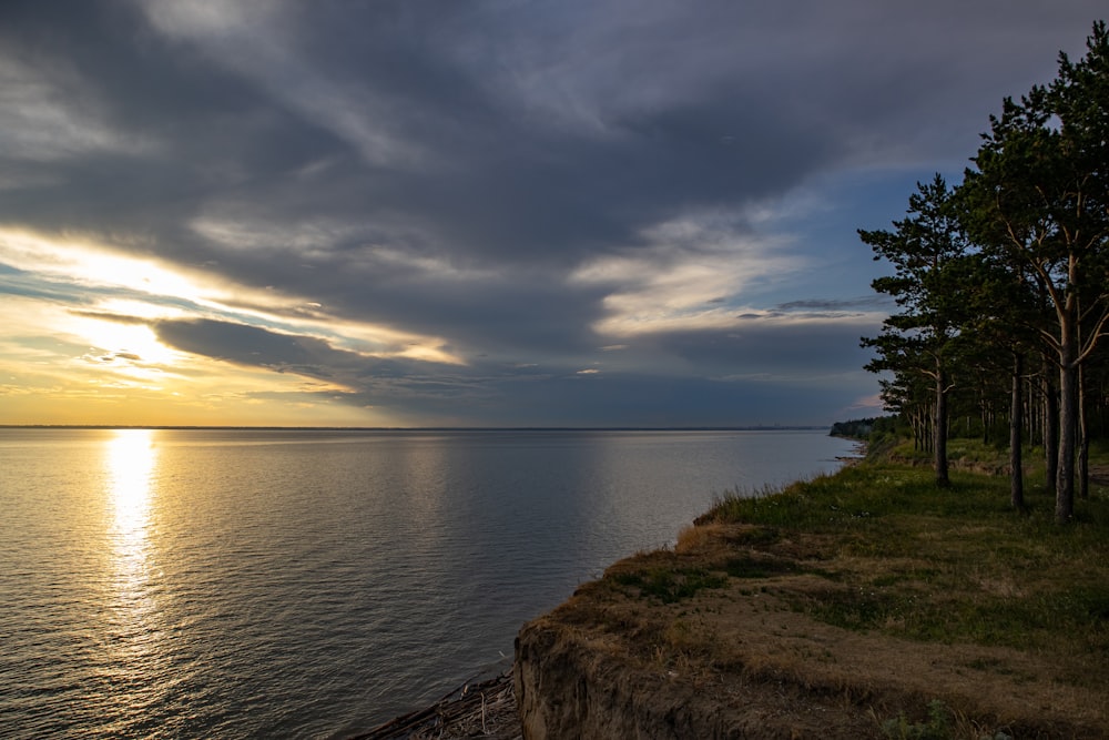 a body of water with trees and grass on the side