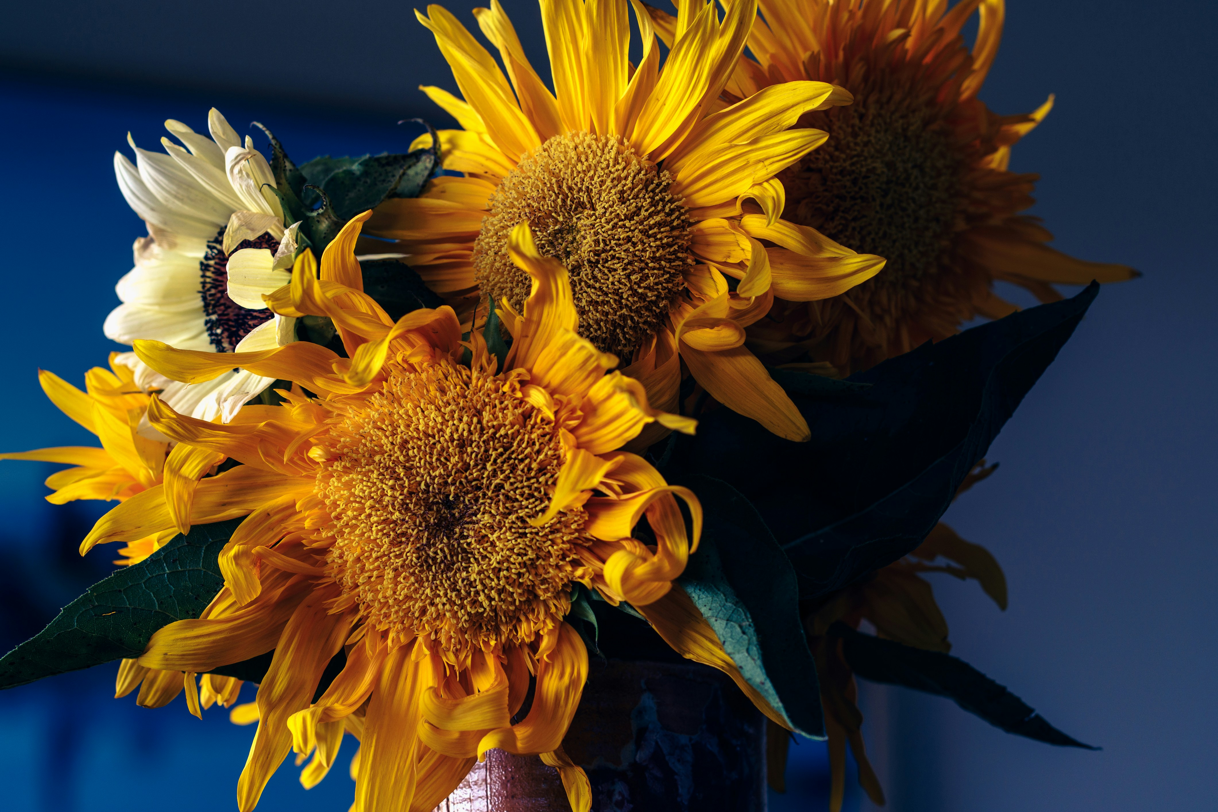 Photo by earl_plannerzone