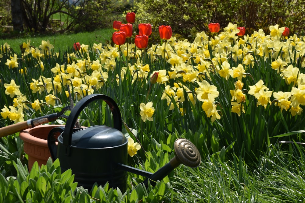 a black kettle on a grassy field