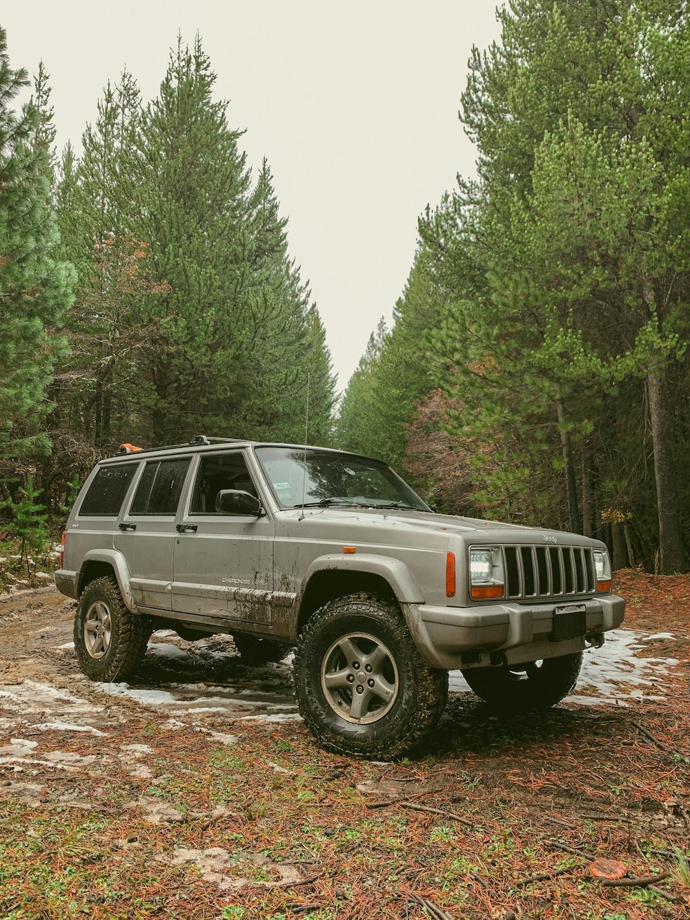 a car parked in a wooded area