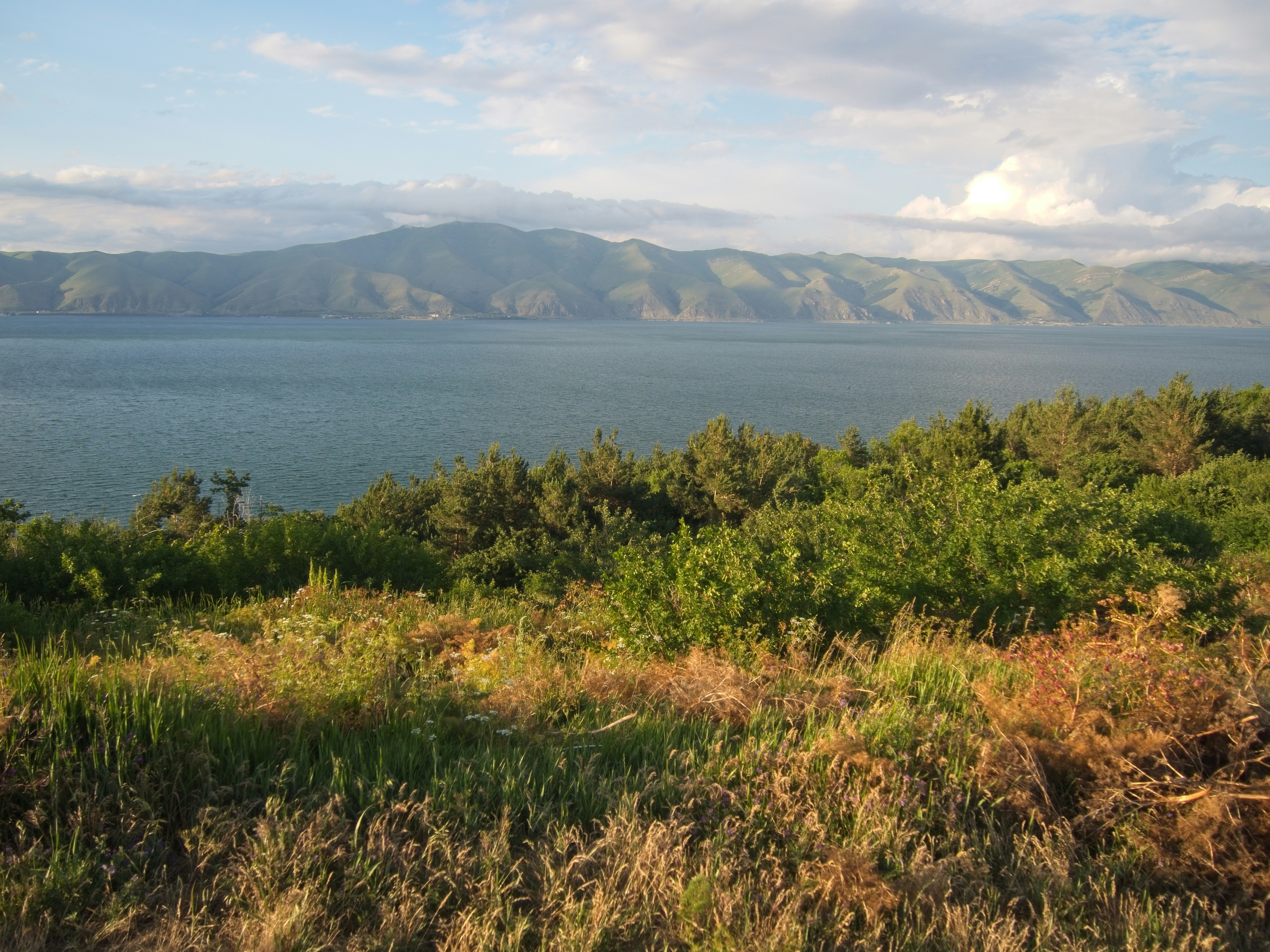 Photo by my_name_is_mia