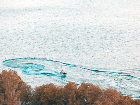 A person rides a jet ski on a vast body of water, creating waves and a wake behind. The surrounding area includes foliage with leaves in shades of brown, contrasting with the blue water.