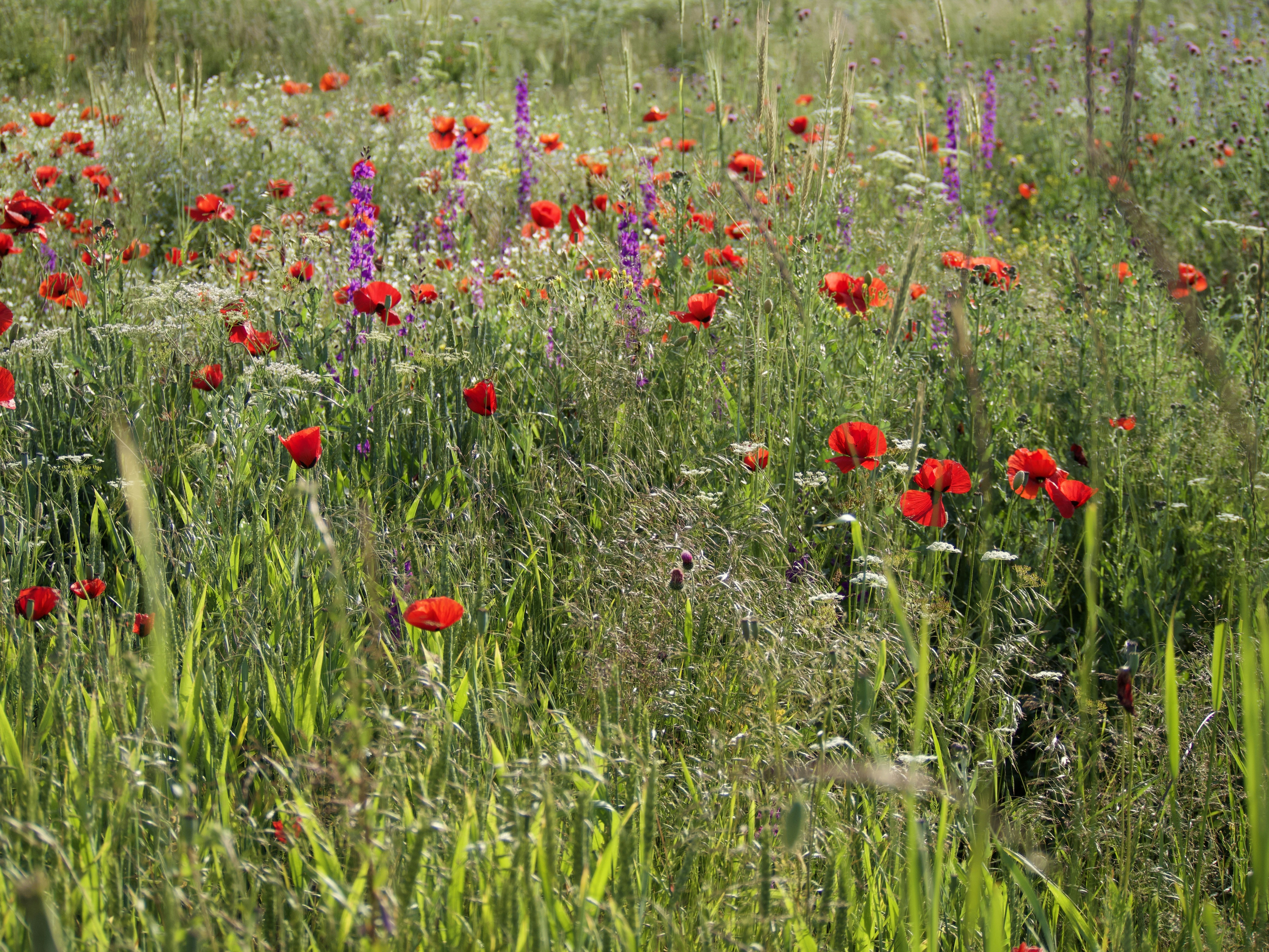 Photo by my_name_is_mia