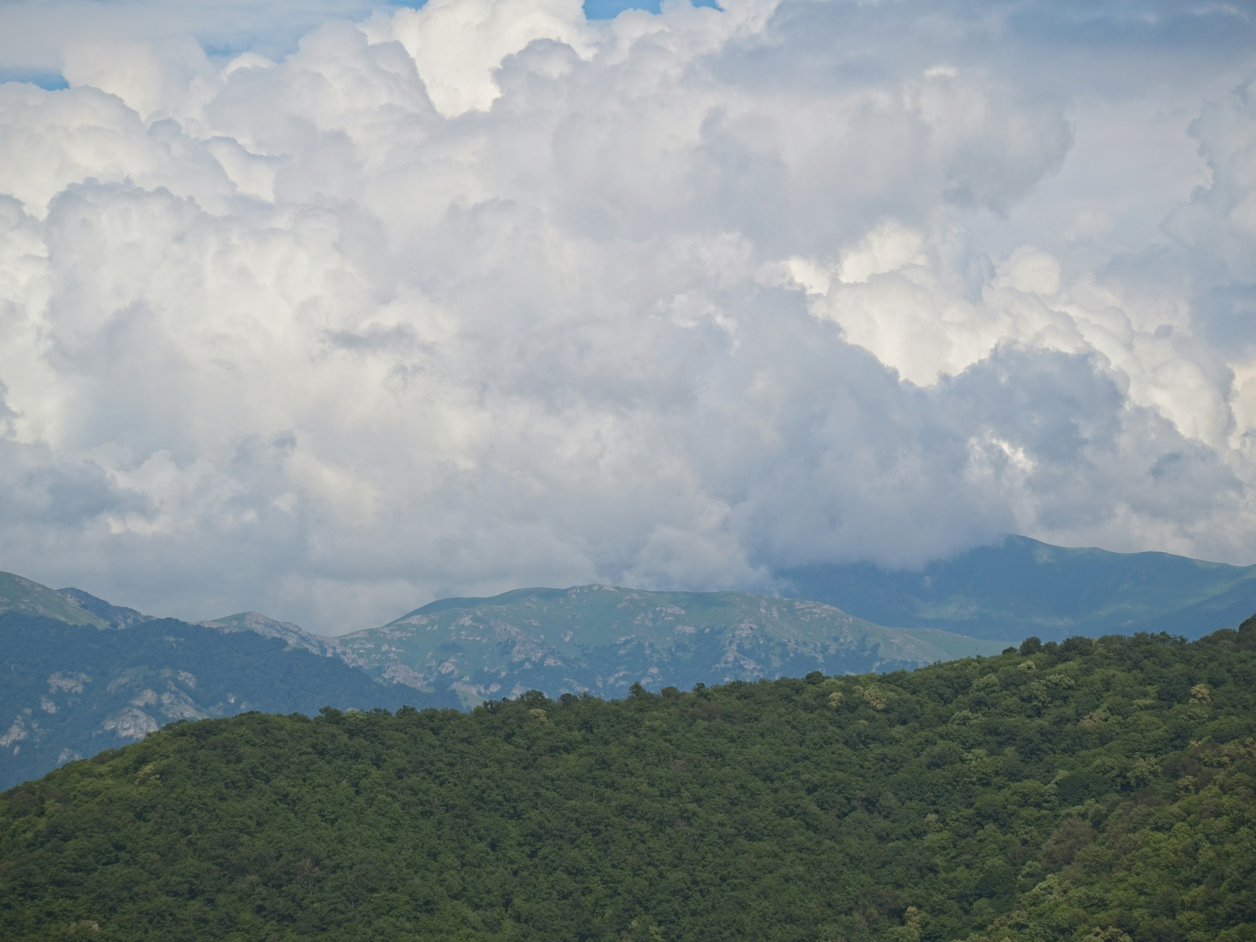 Photo by my_name_is_mia