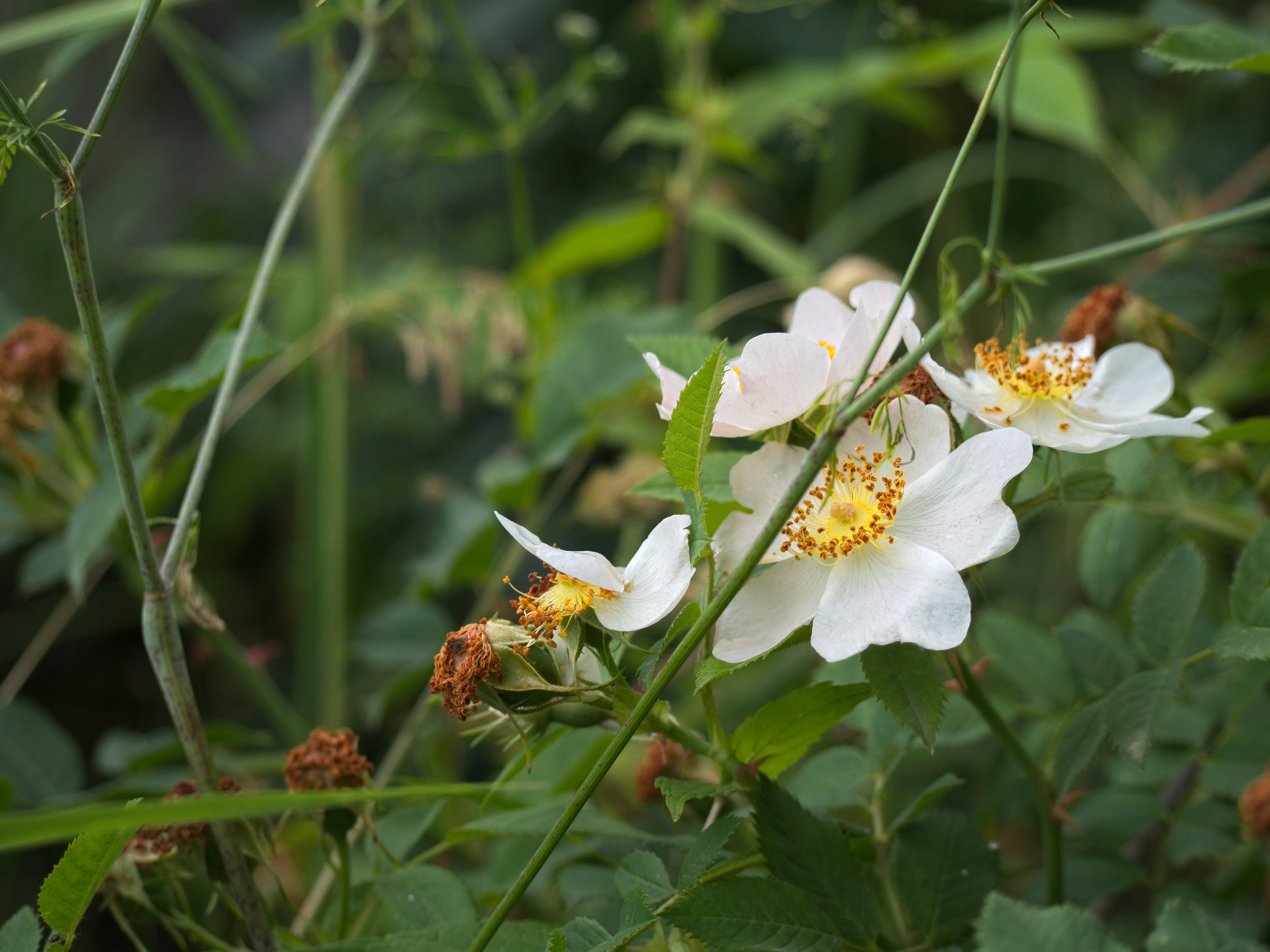 Photo by my_name_is_mia