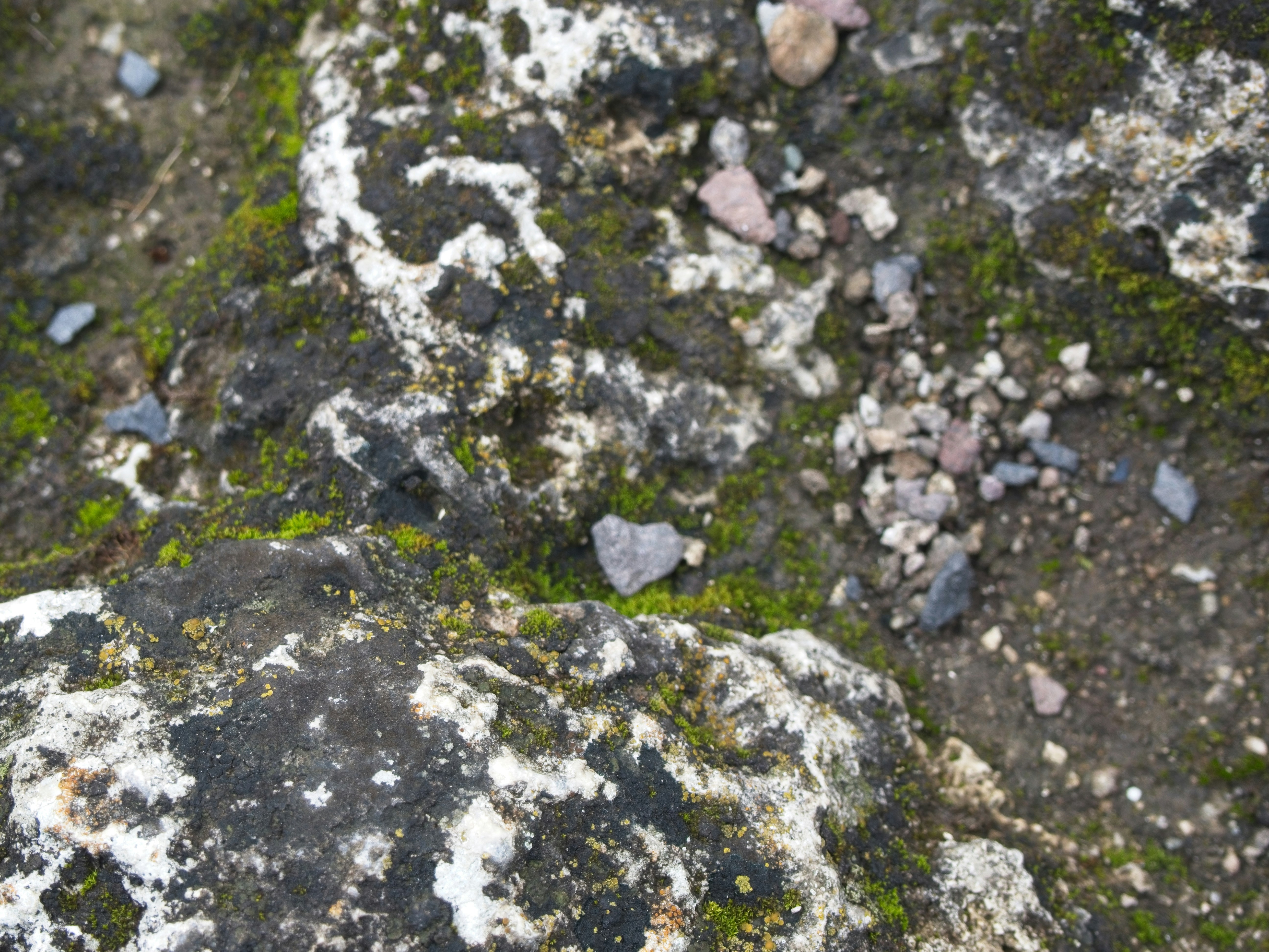 Photo by my_name_is_mia