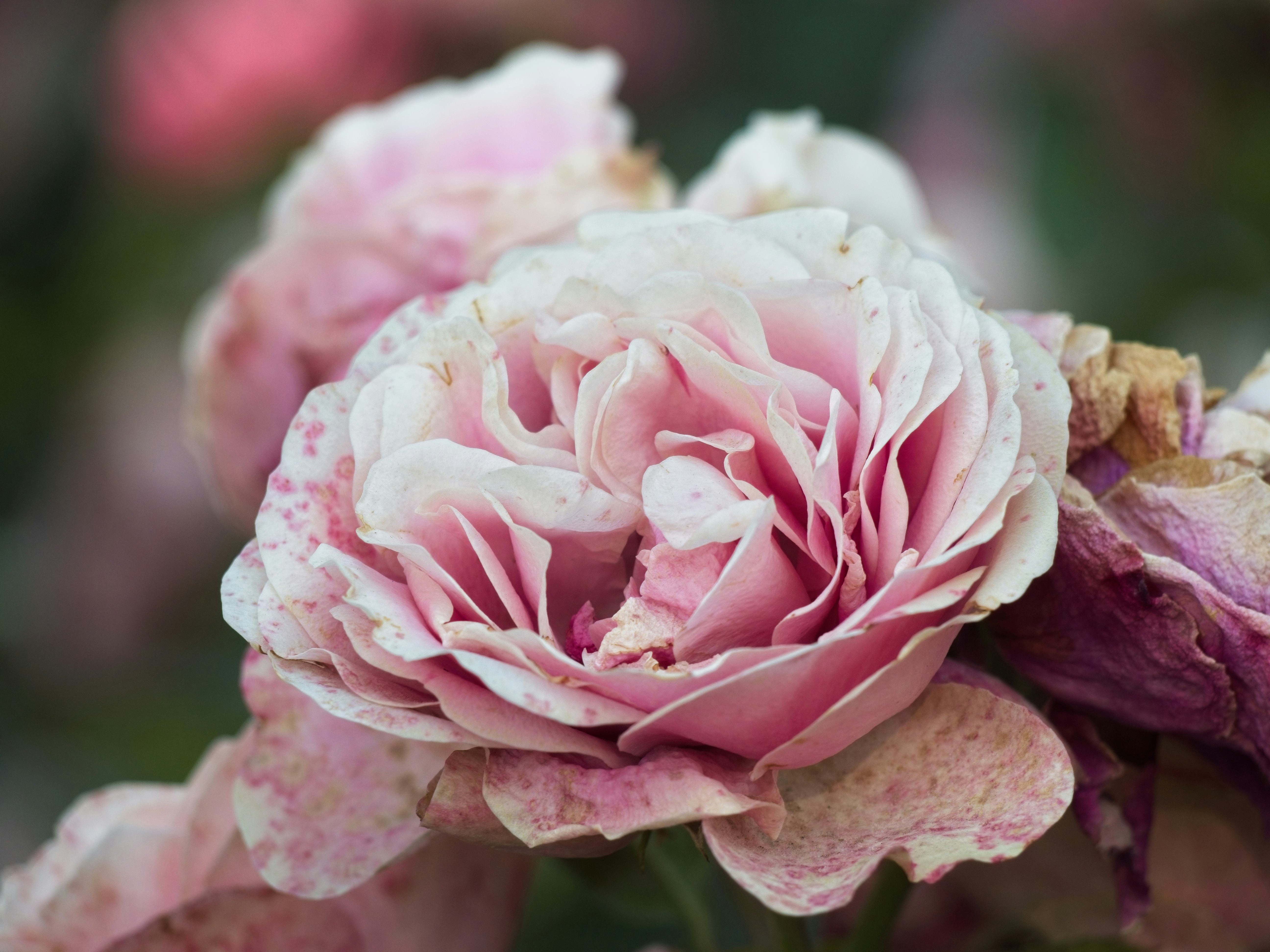 Photo by my_name_is_mia