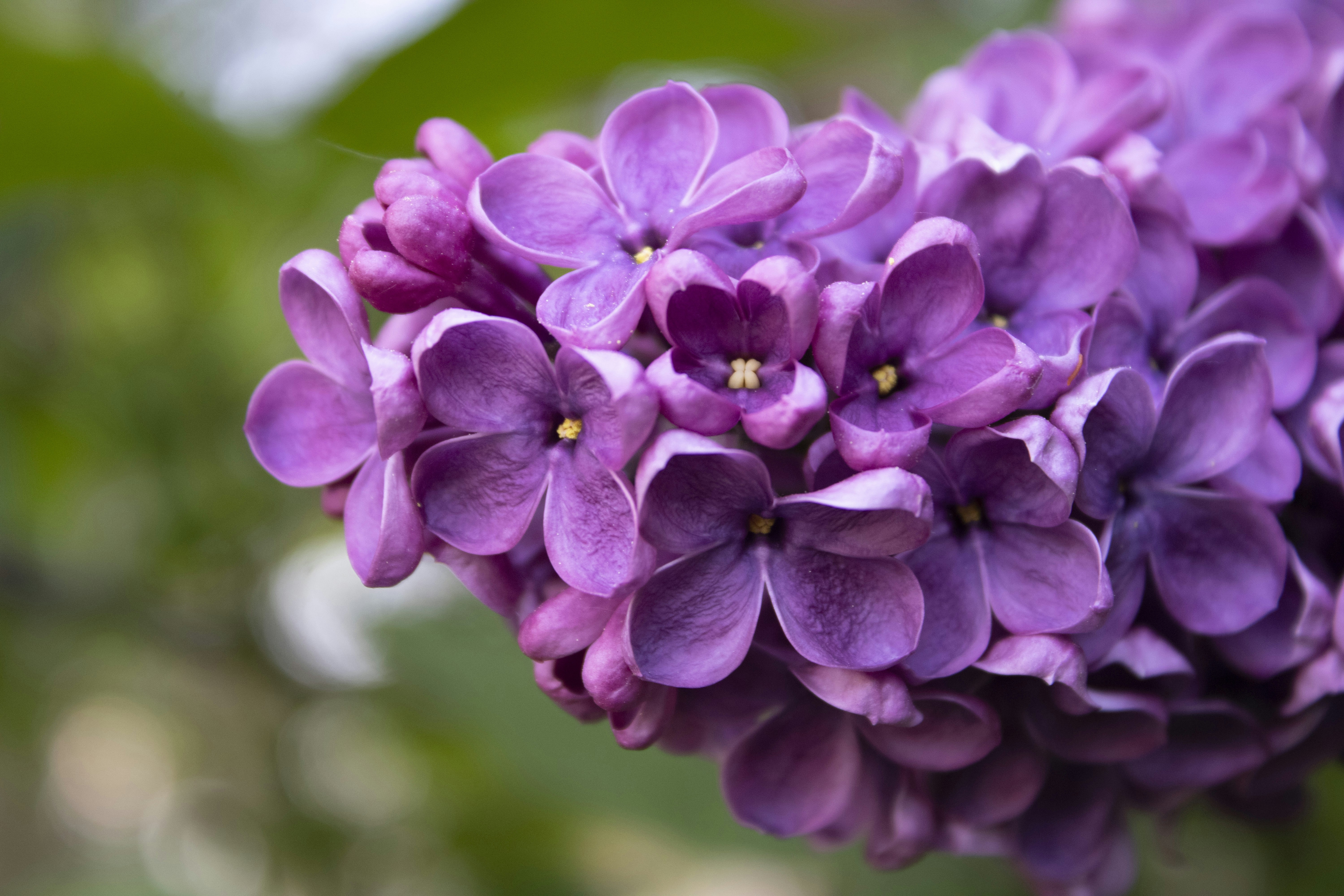 Photo by albertdavid6