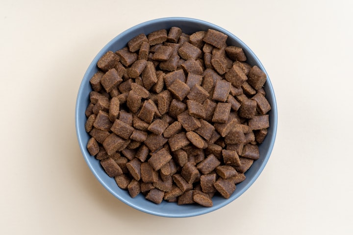 7 Healthy additives for your dog's Kibble 