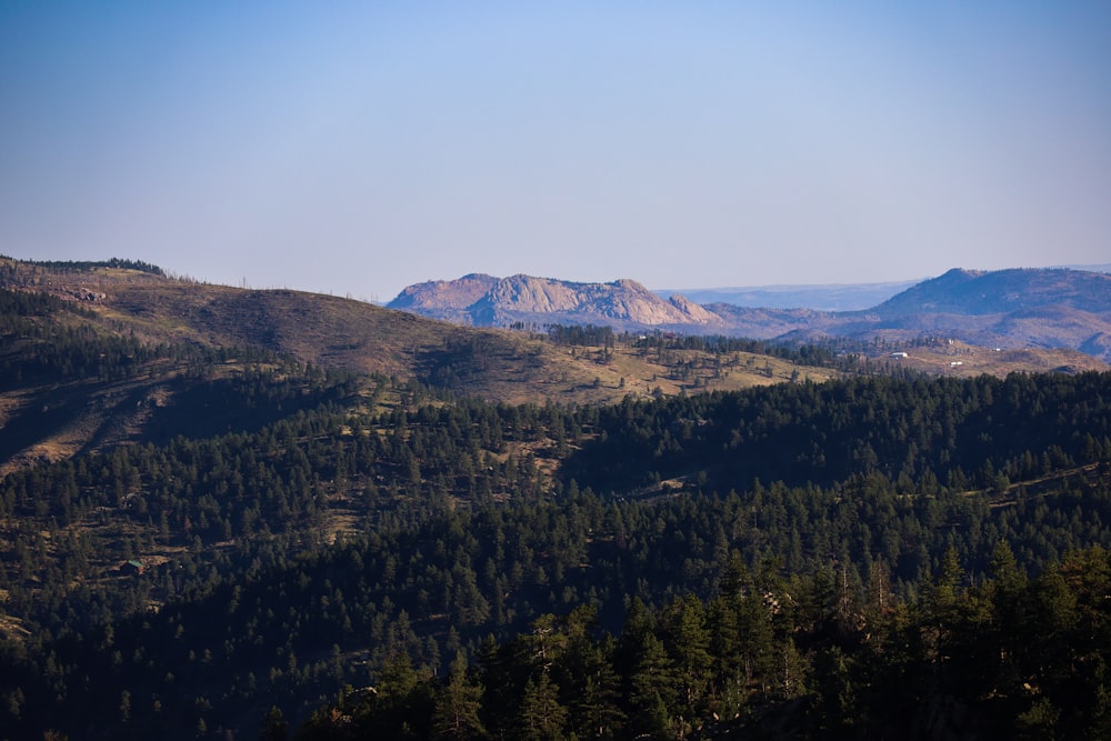 a landscape with trees and mountains in the back