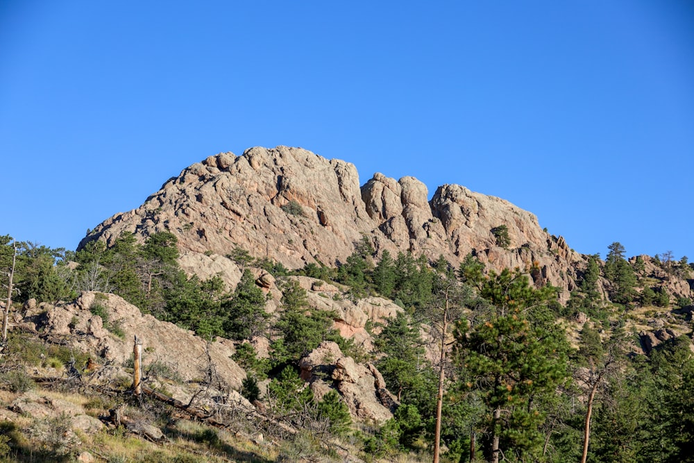 a rocky mountain with trees