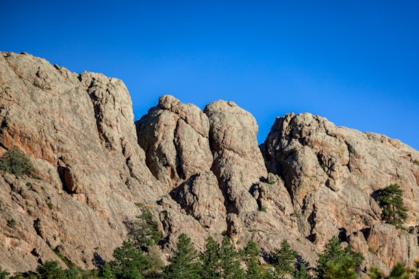 a rocky mountain with trees