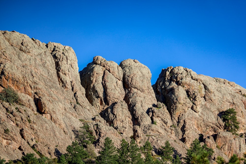 a rocky mountain with trees