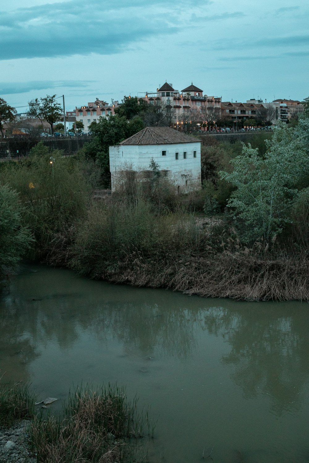 a body of water with buildings in the background