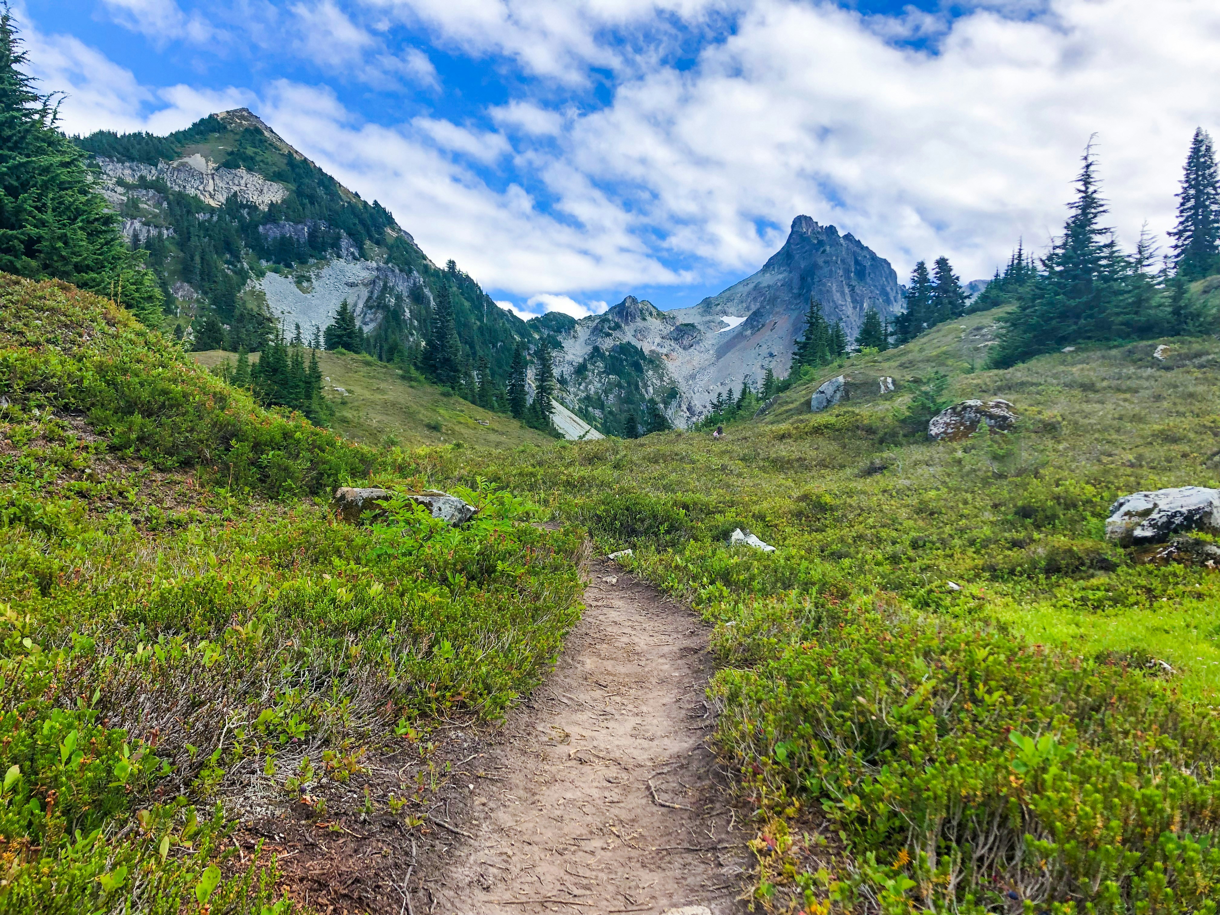 Photo by sarahpurdey