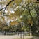 Tall trees with yellow and green leaves arch over a pathway where a person is walking. A lamp post holds a sign reading 'Boston Common 1634'. The background shows a street bordered by a fence and additional trees.