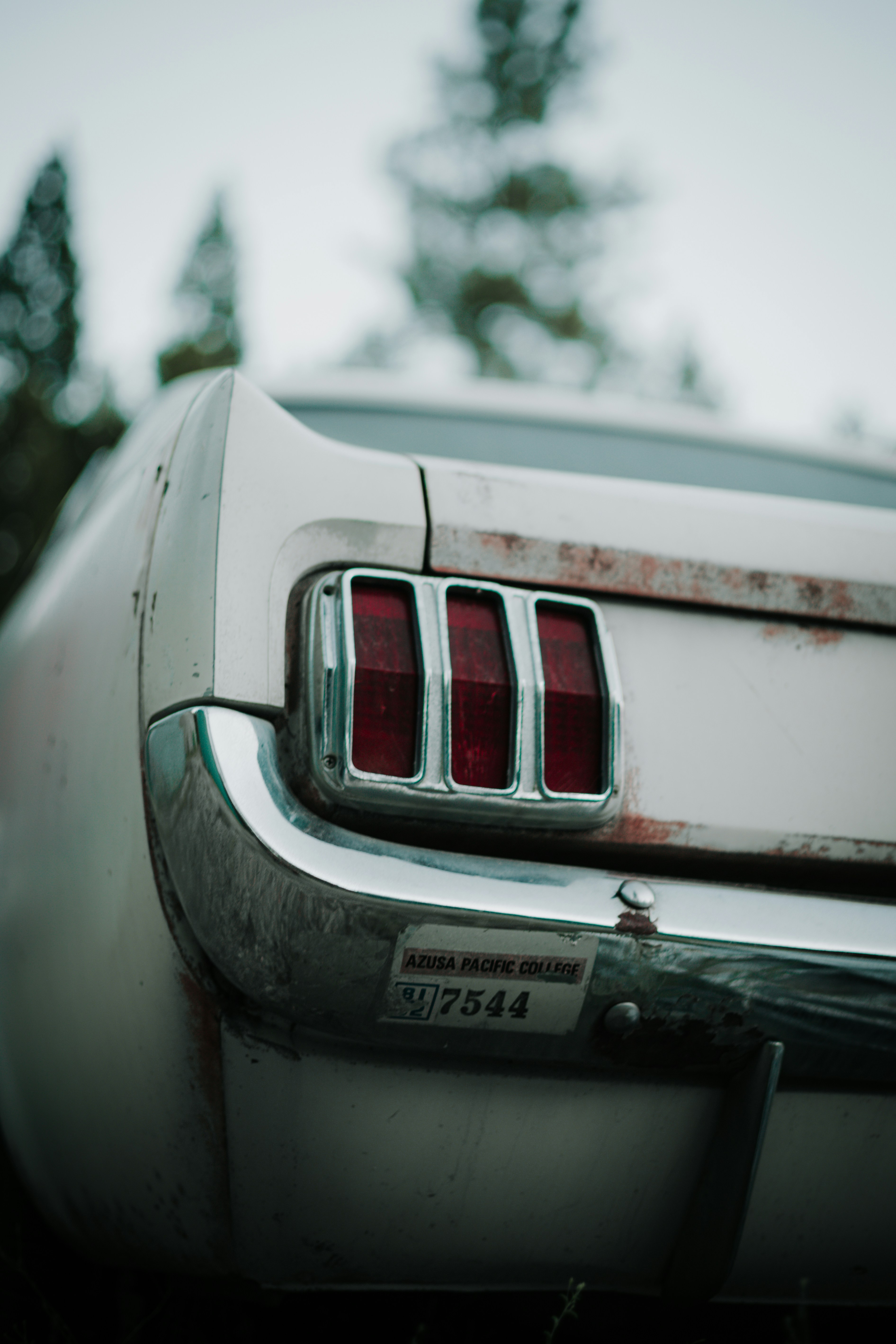 Photo by jeffersonsees