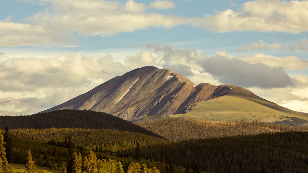 a mountain with trees in front of it