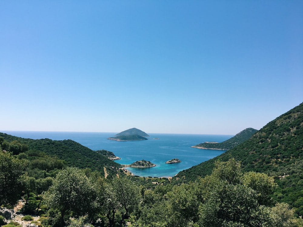 a body of water surrounded by trees