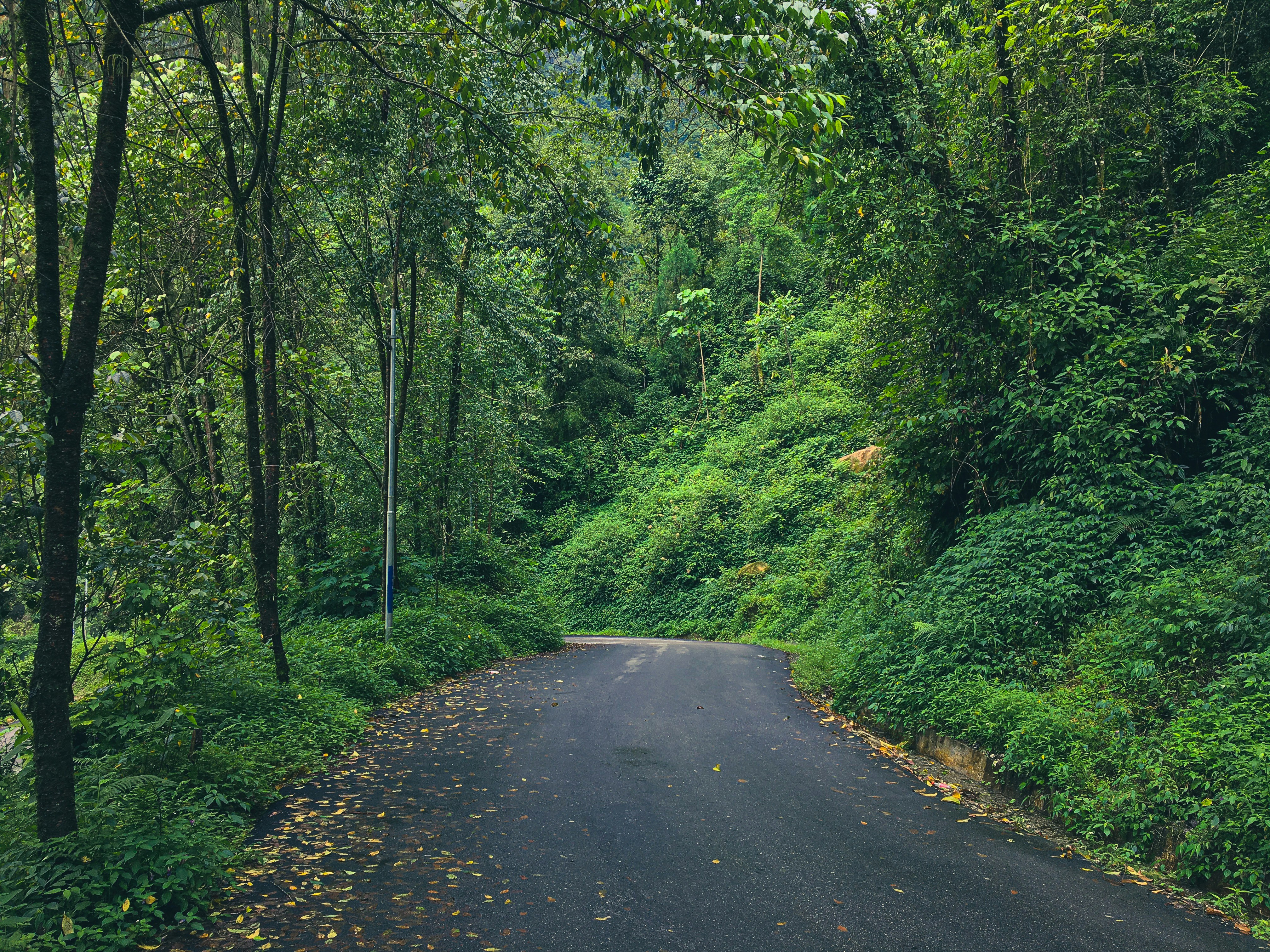 Photo by devprajapati