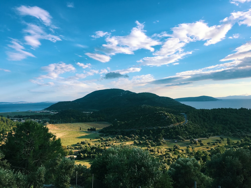 a landscape with trees and hills