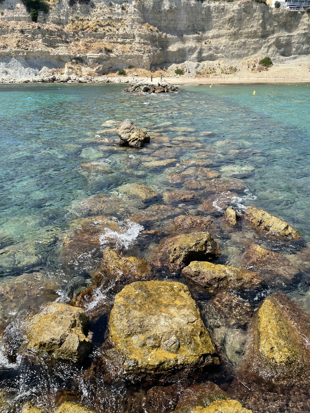 a rocky beach with a body of water in the background