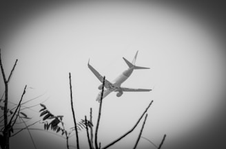 An image depicting an airplane in the sky.