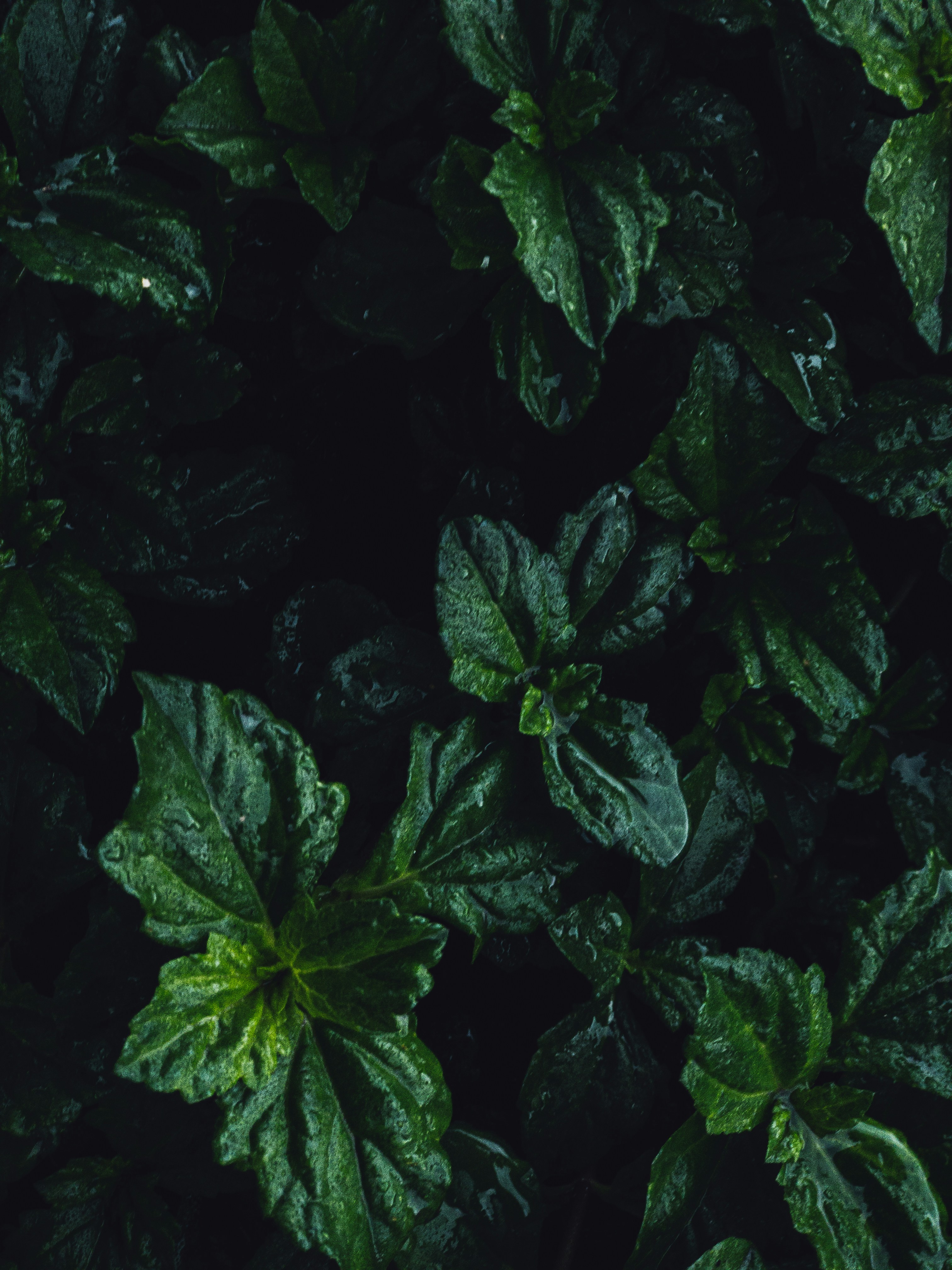 Photo by amritanshdubey