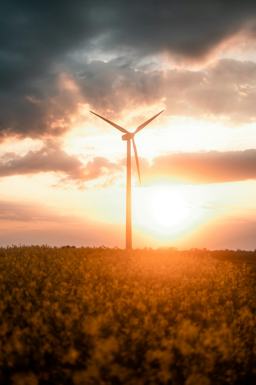 a windmill in a field