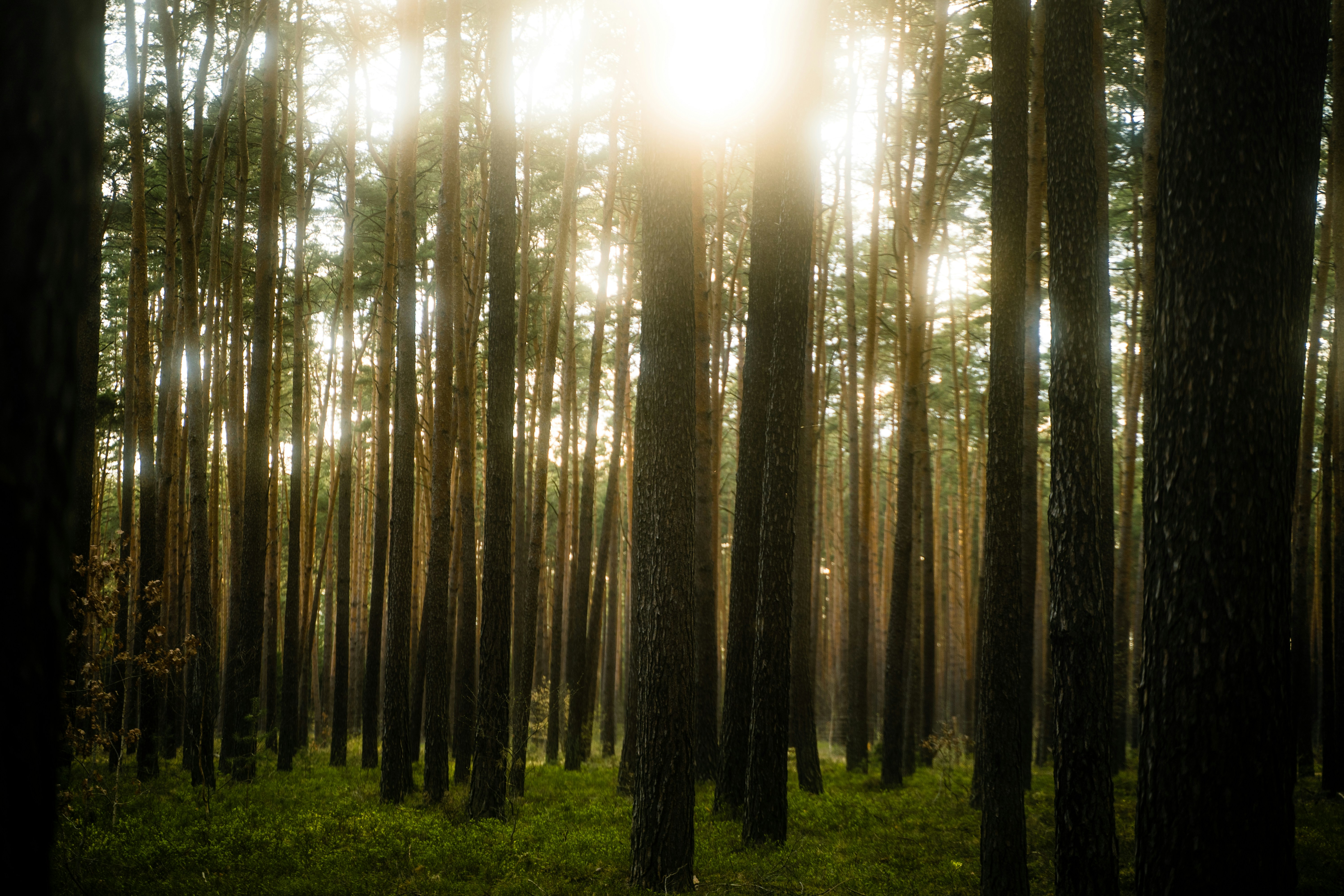 Photo by moritzlange