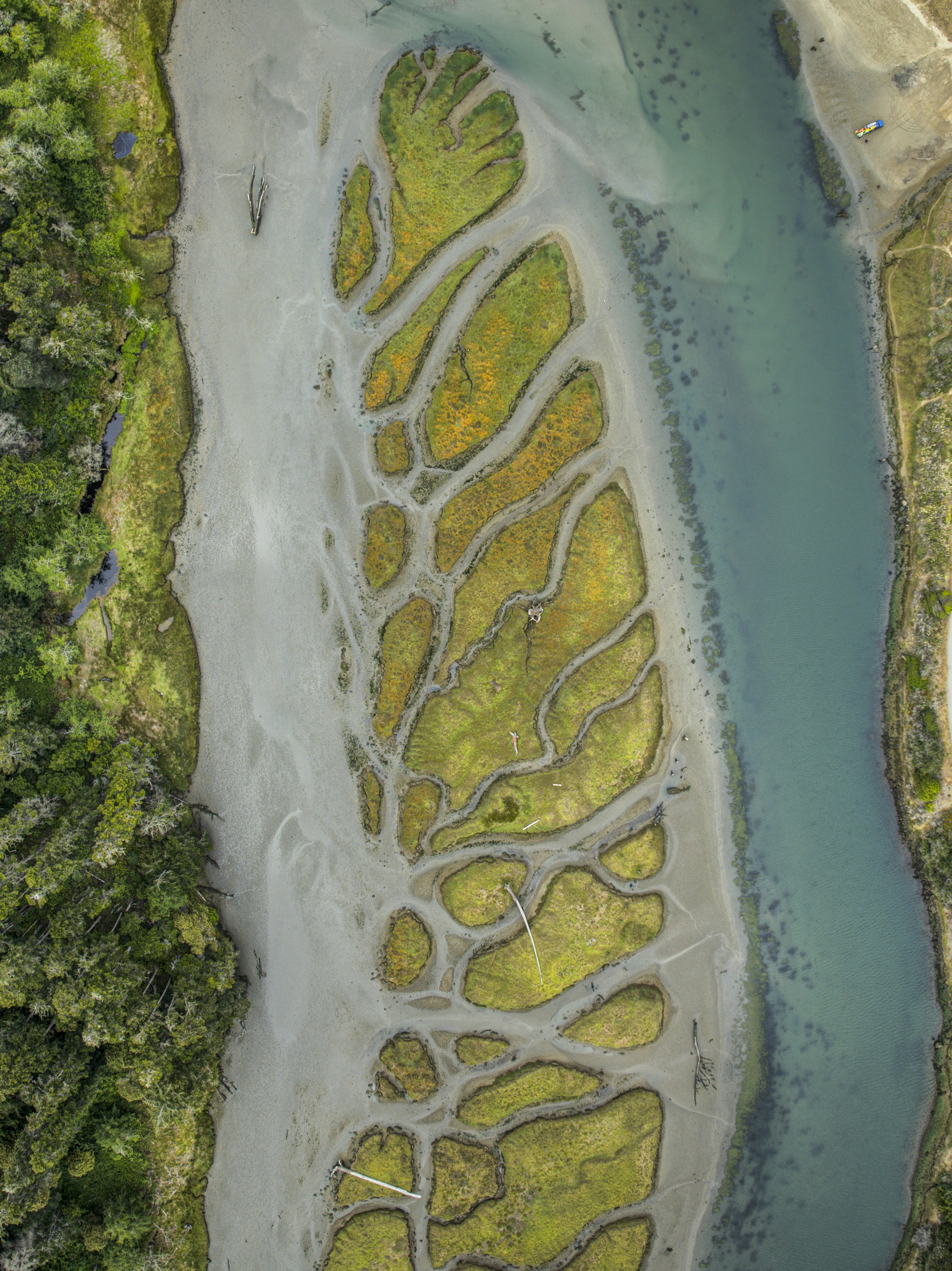 Photo by leo_visions_