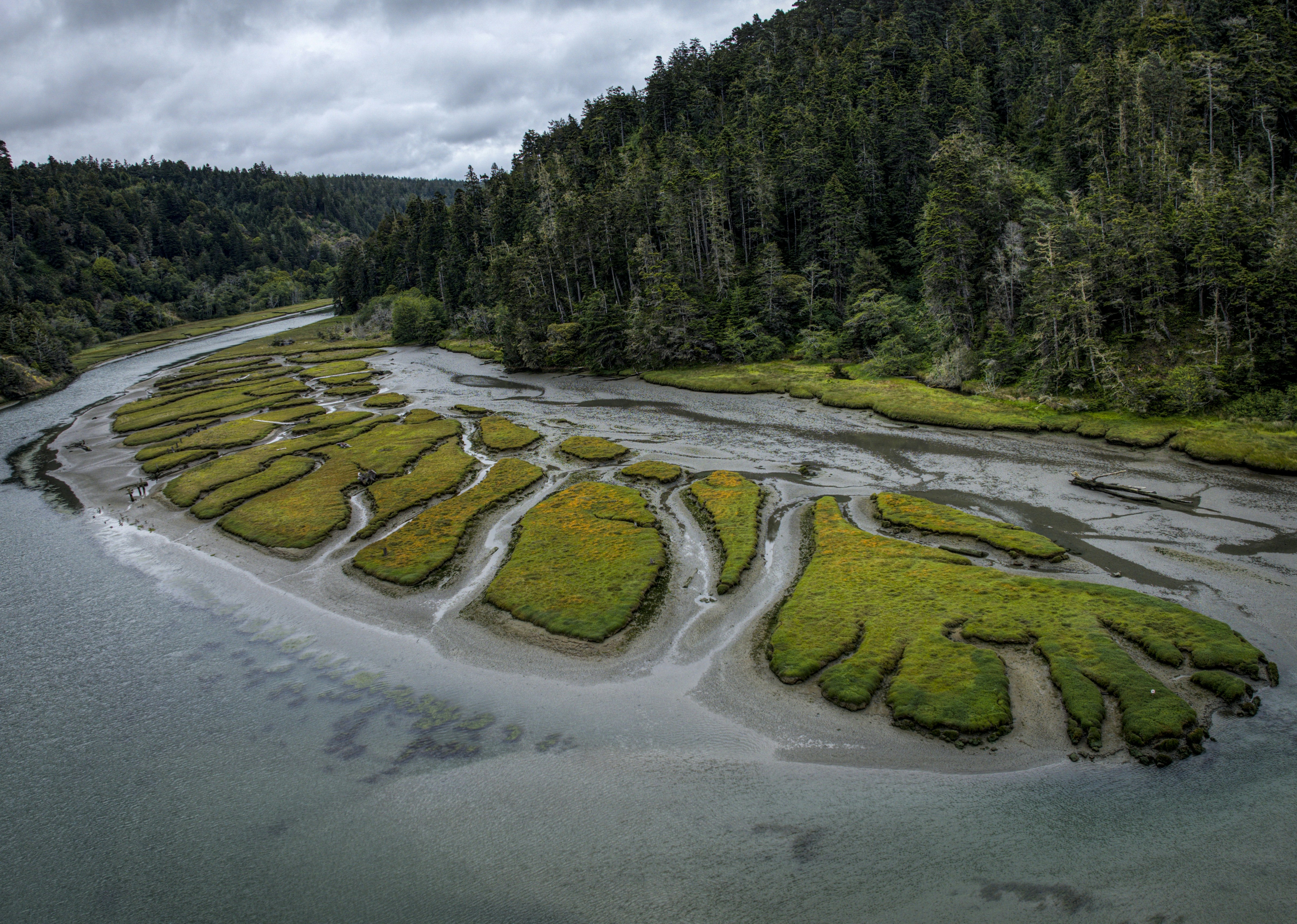 Financing Salmon Stewardship in Wuikinuxv Territory